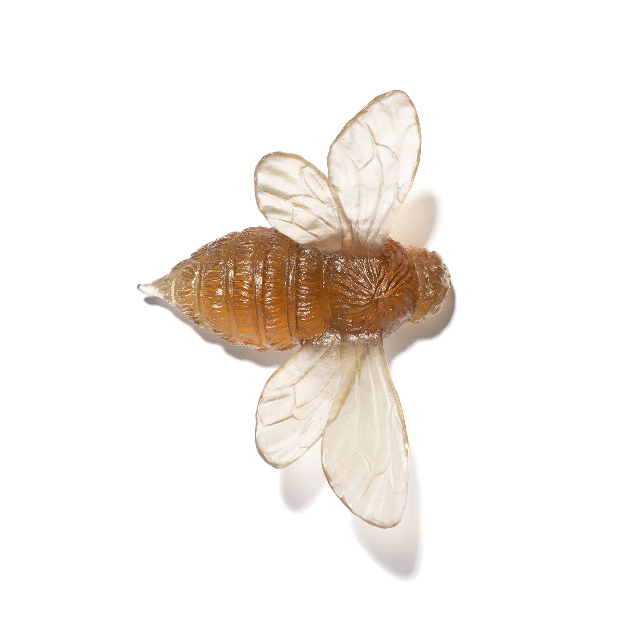 Bee Wings Out | Glass