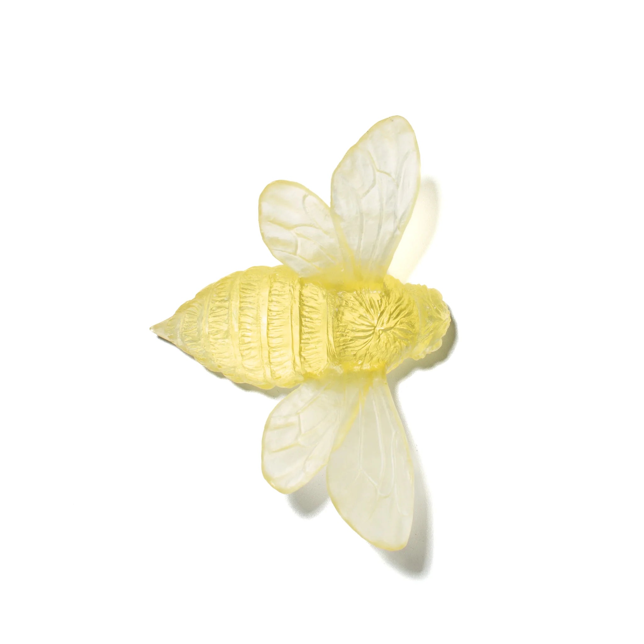 Bee Wings Out | Glass