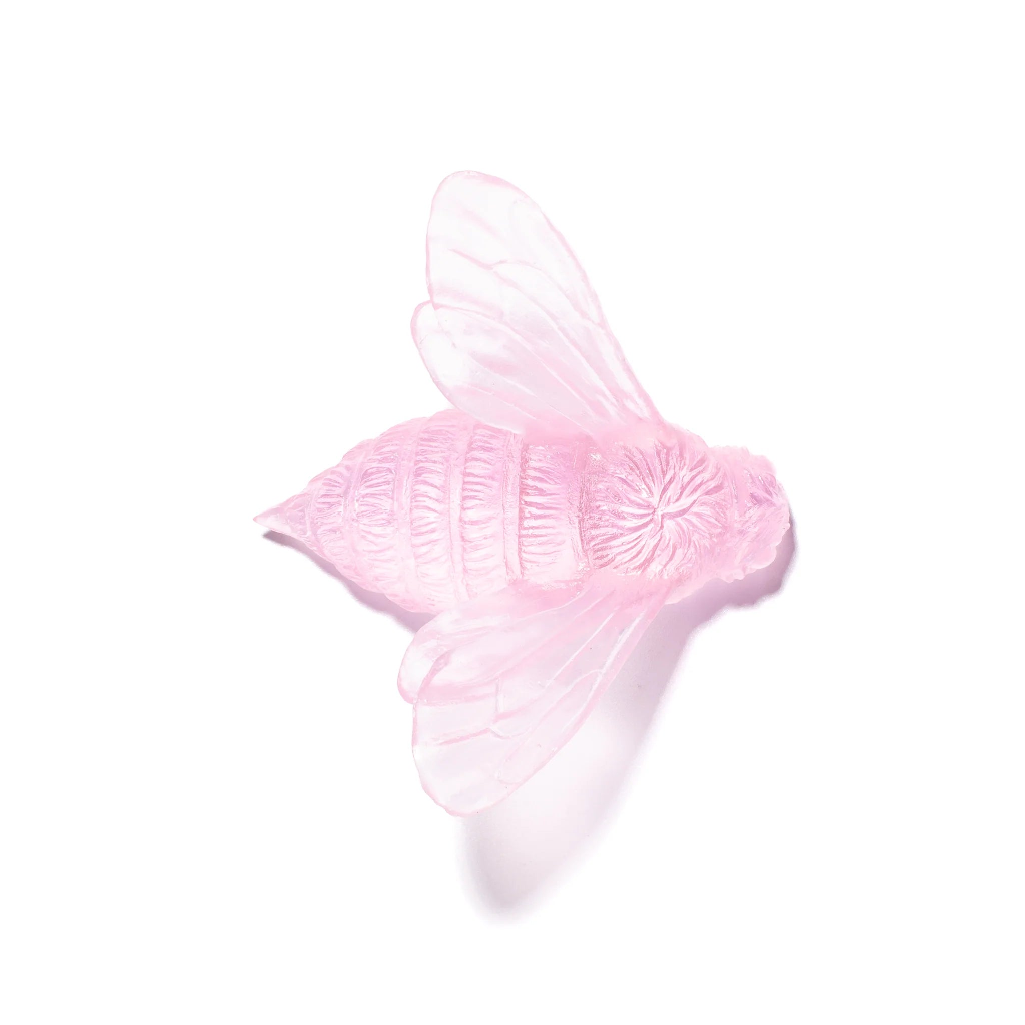 Bee Wings In | Glass