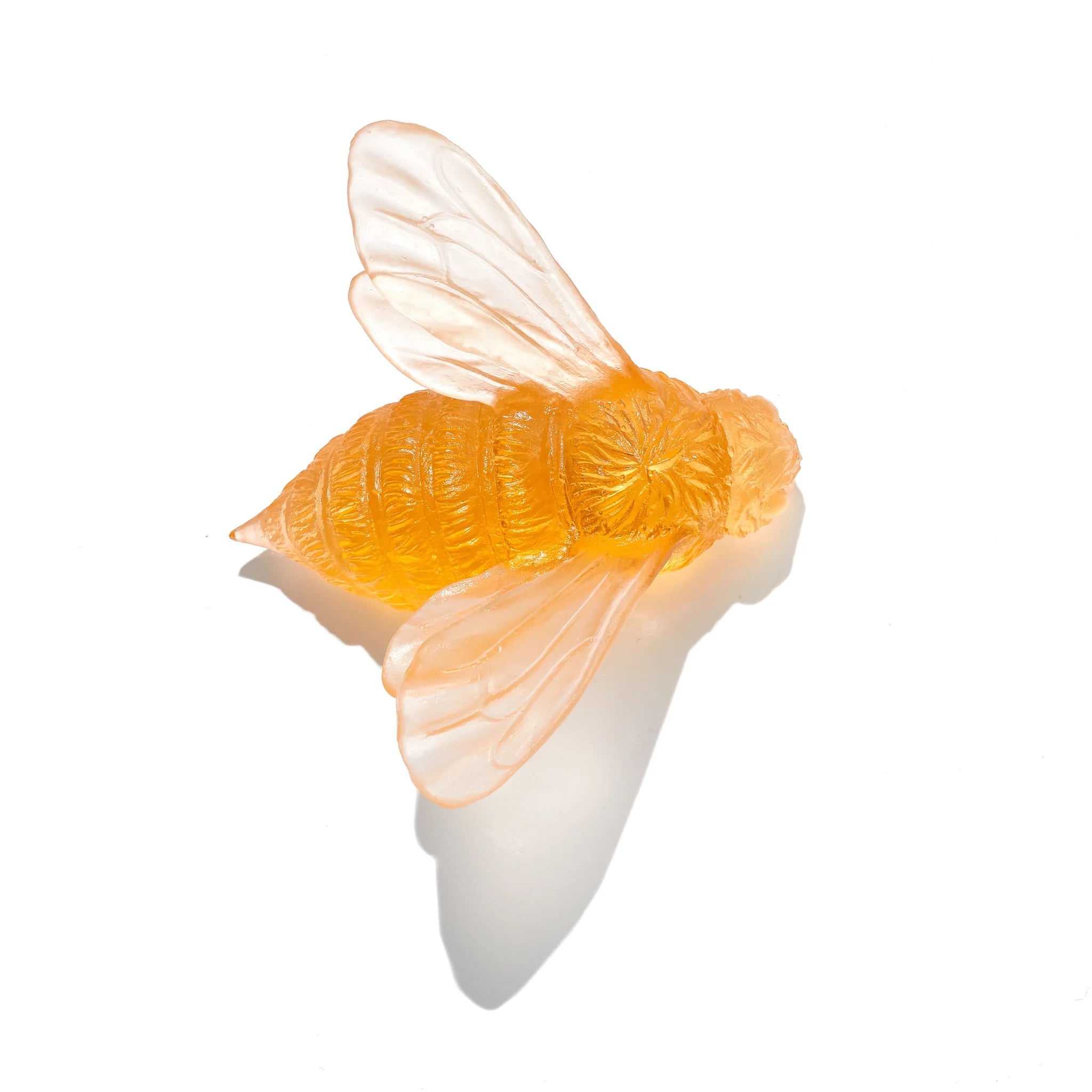 Bee Wings In | Glass