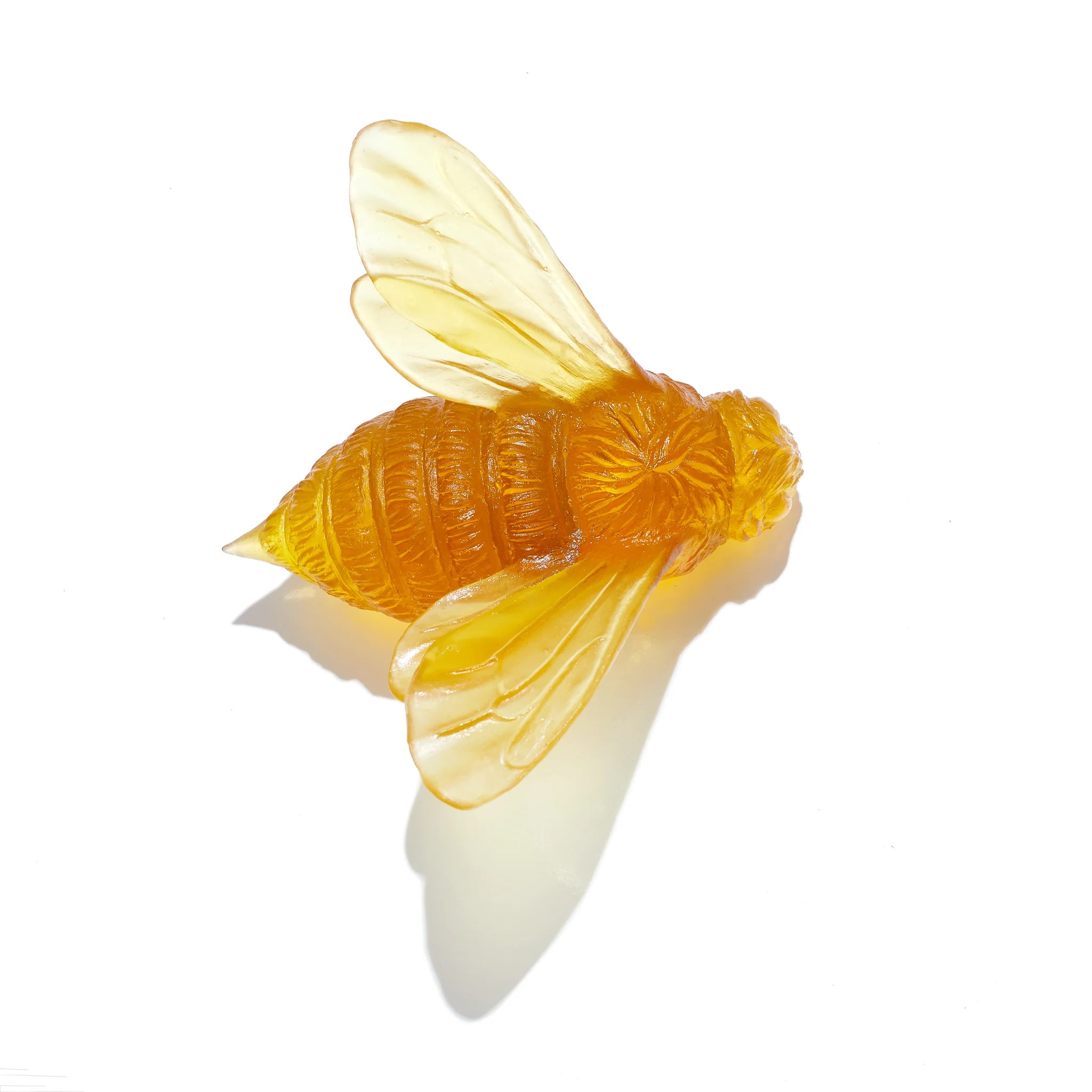 Bee Wings In | Glass