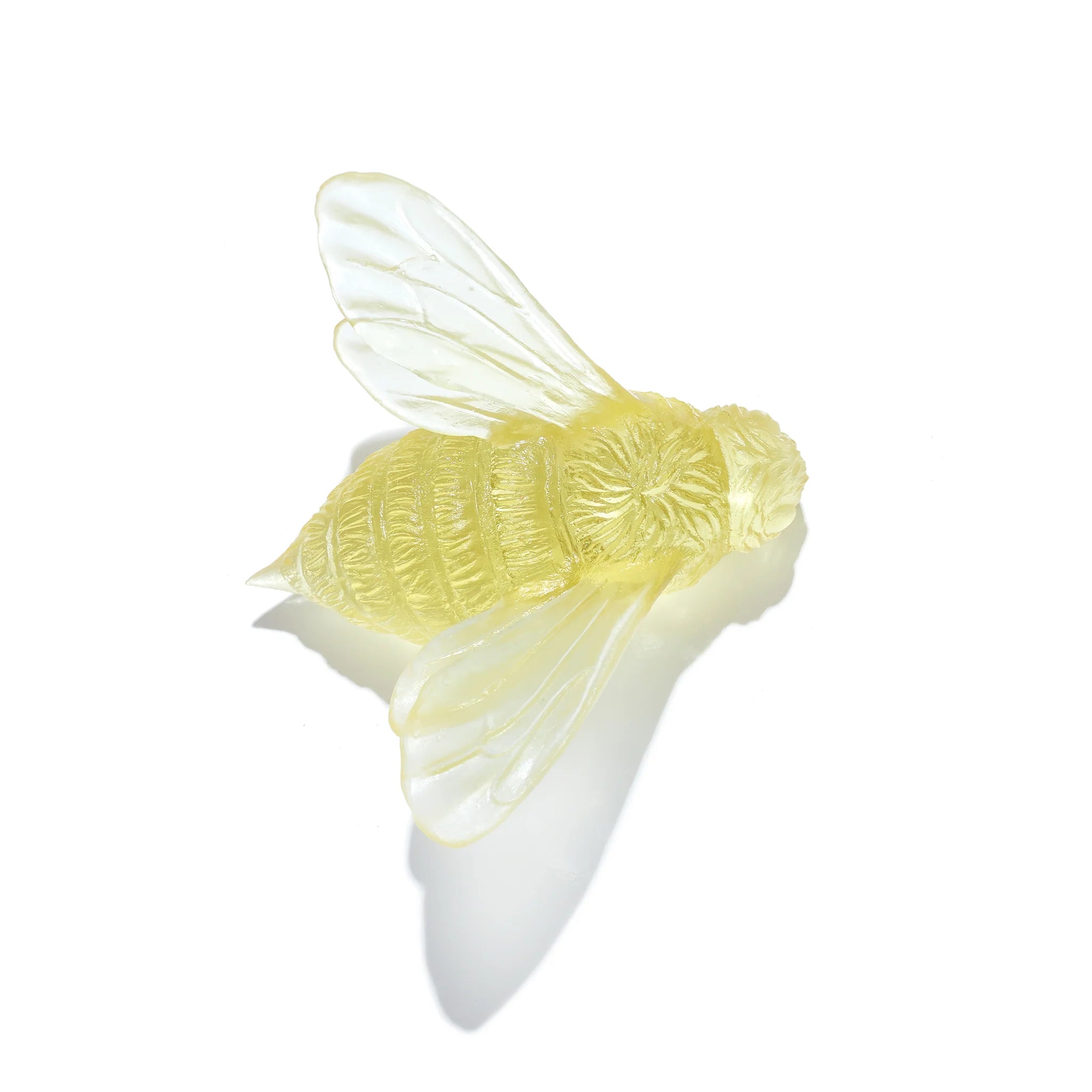 Bee Wings In | Glass