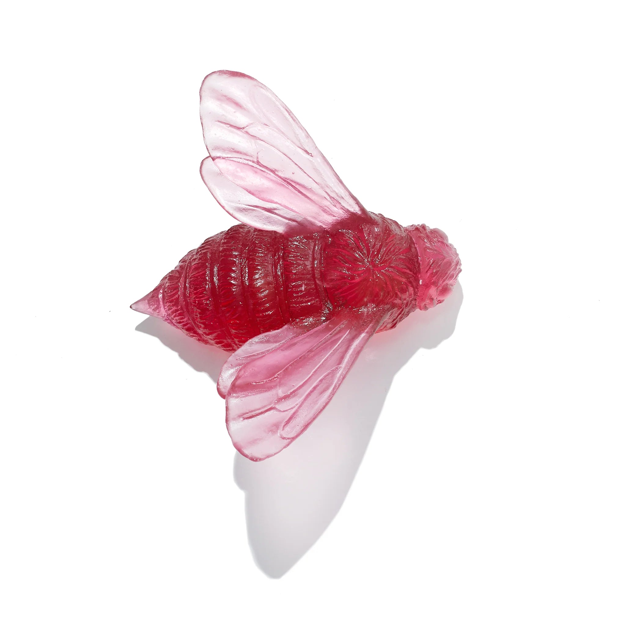 Bee Wings In | Glass