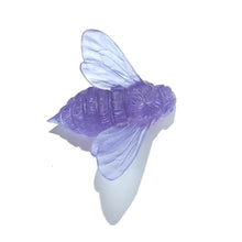 Bee Wings In | Glass