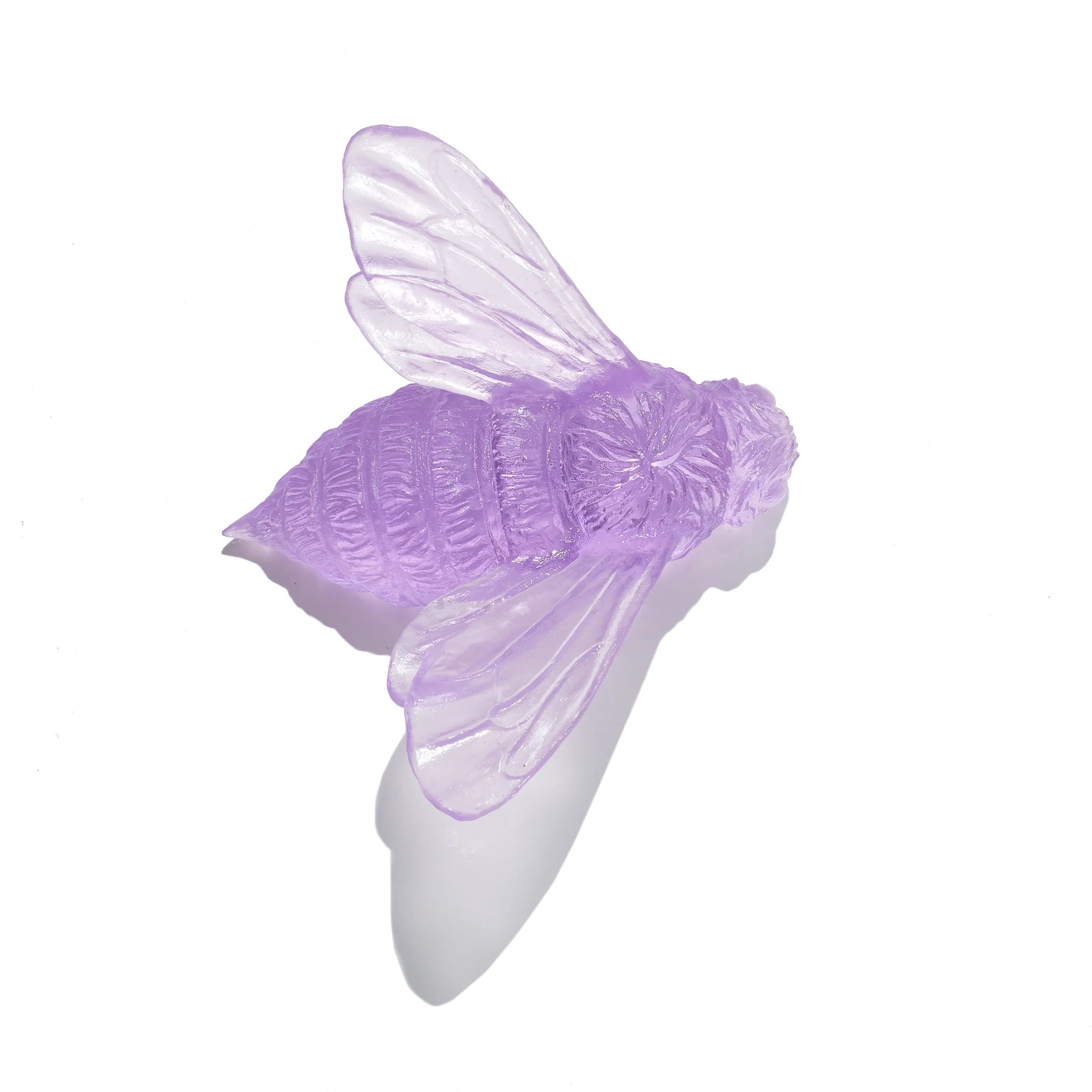 Bee Wings In | Glass