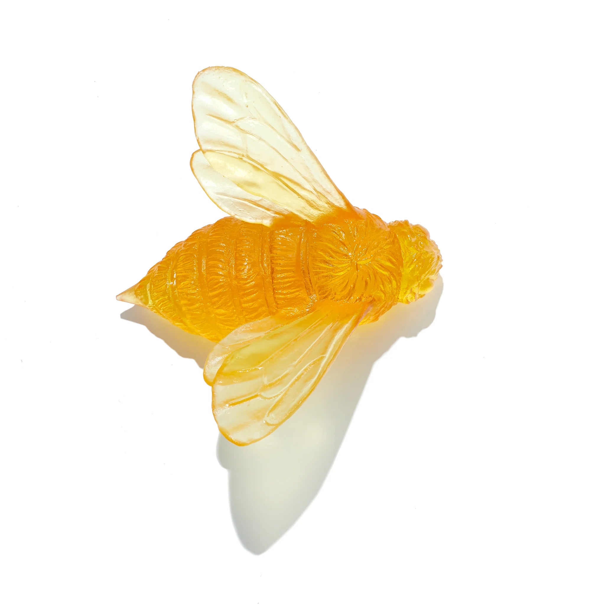 Bee Wings In | Glass