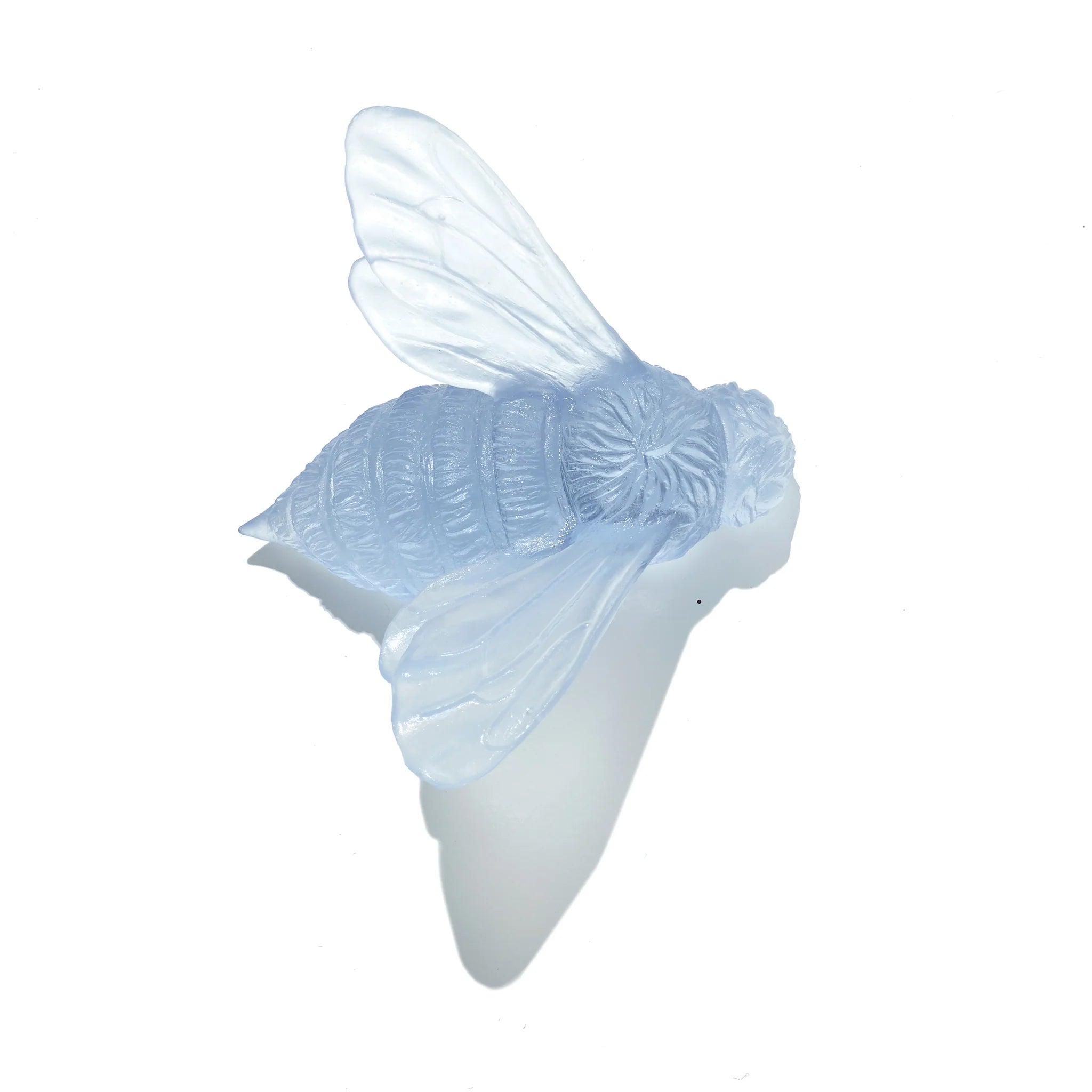 Bee Wings In | Glass