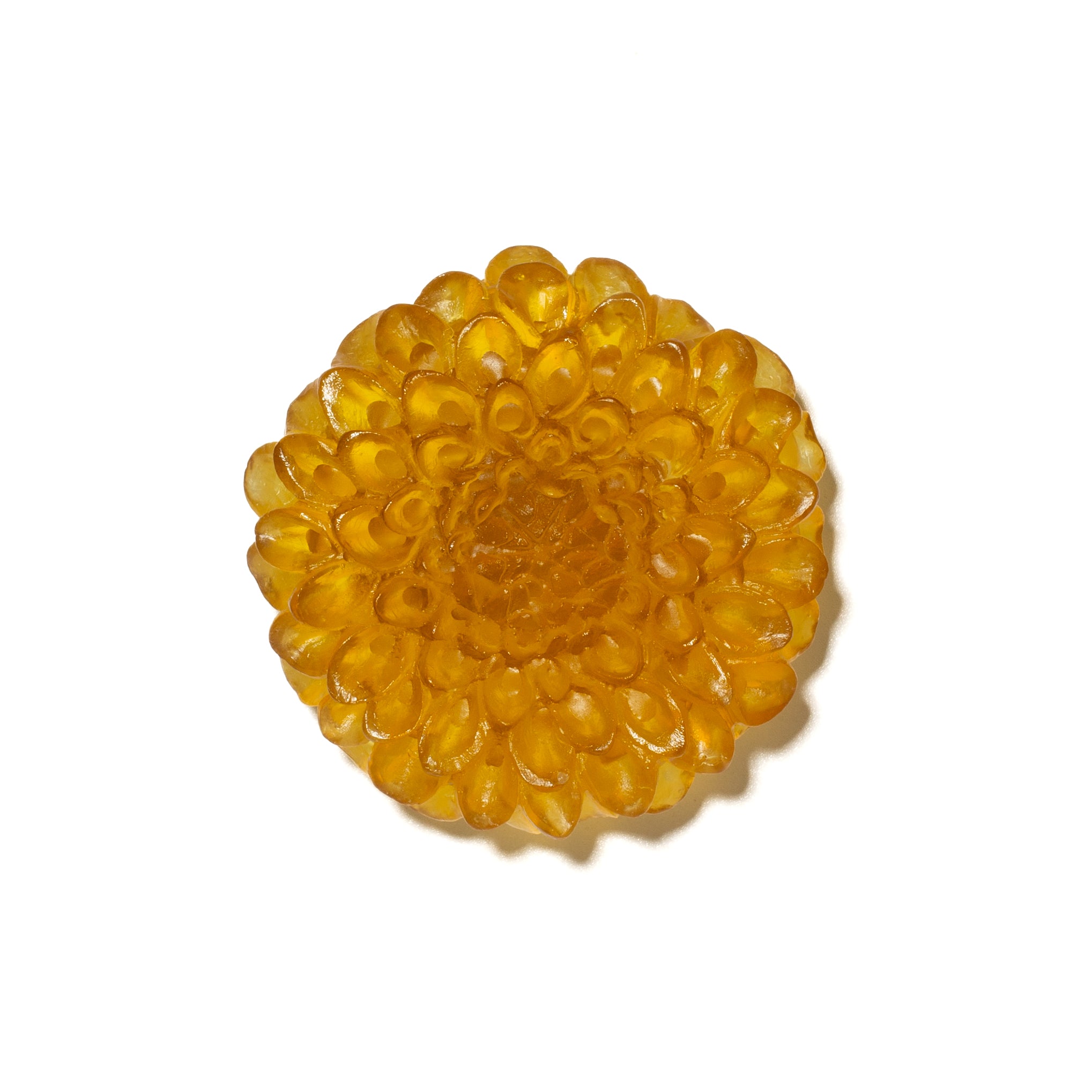 Dahlia Flower | Glass