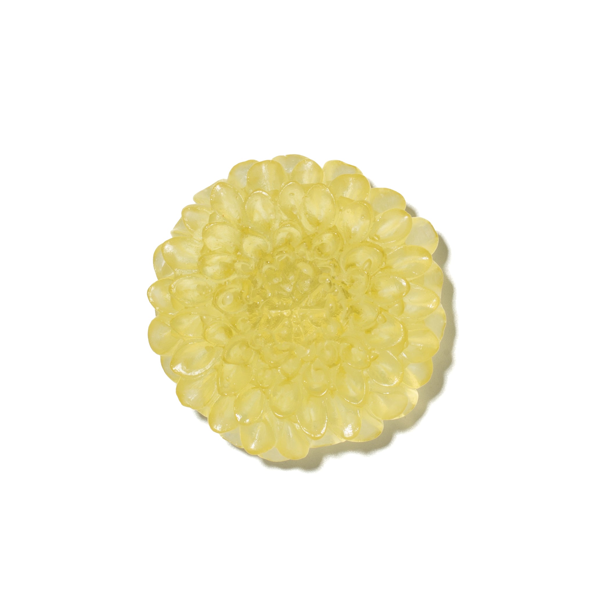 Dahlia Flower | Glass