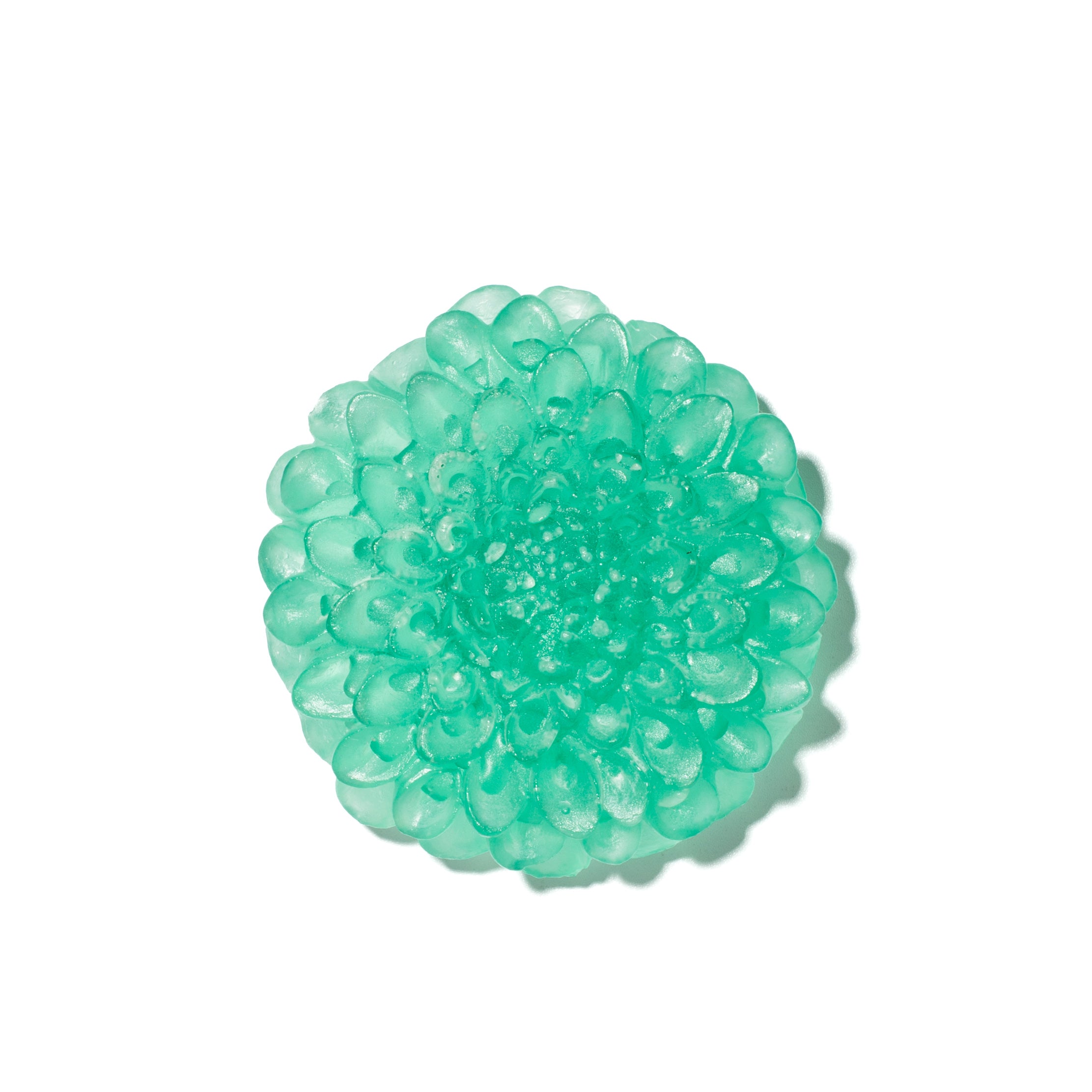 Dahlia Flower | Glass