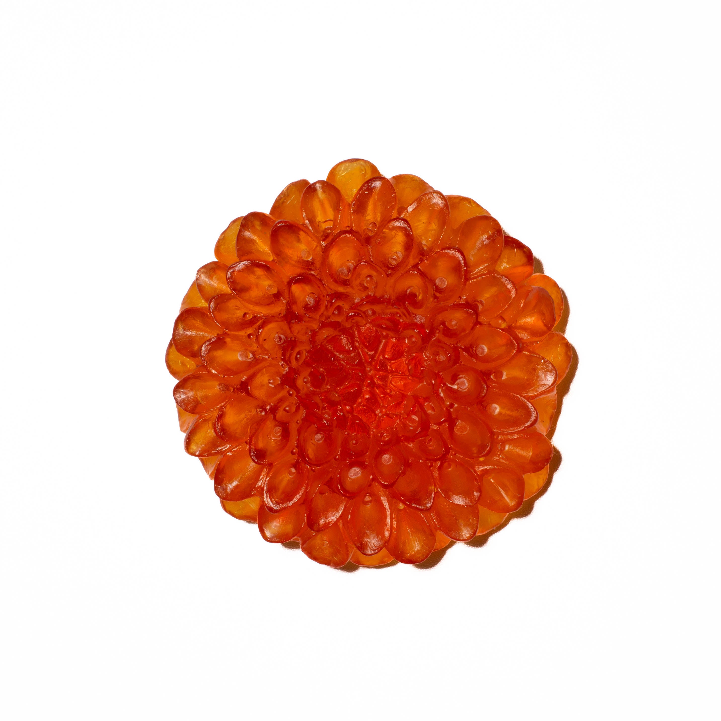Dahlia Flower | Glass