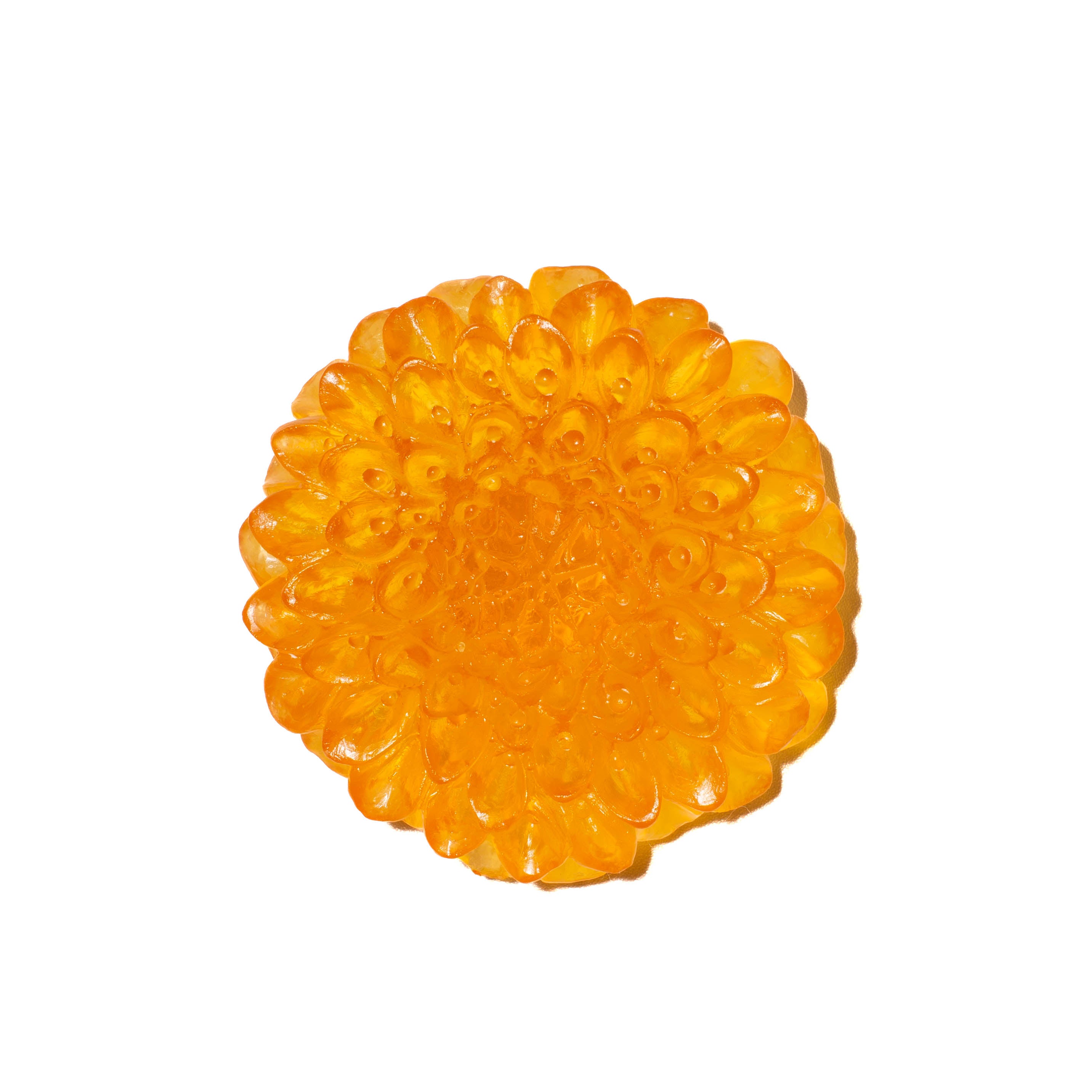 Camelia Flower | Glass