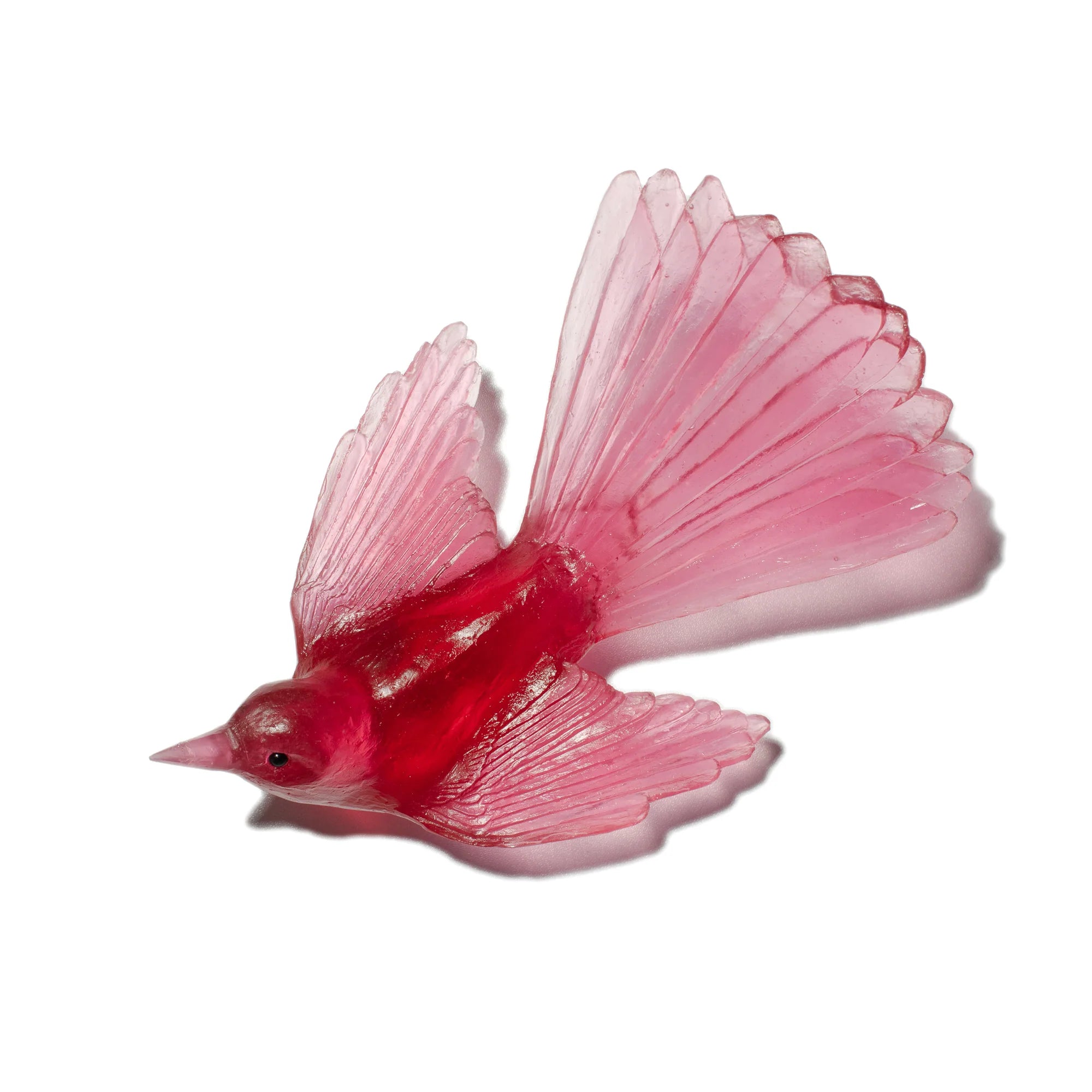 Pīwakawaka / Fantail | Glass Bird