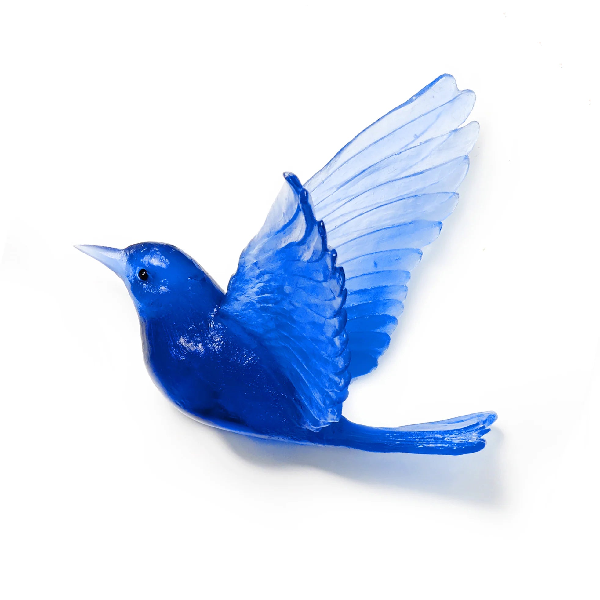 Hihi / Stitchbird | Glass Bird