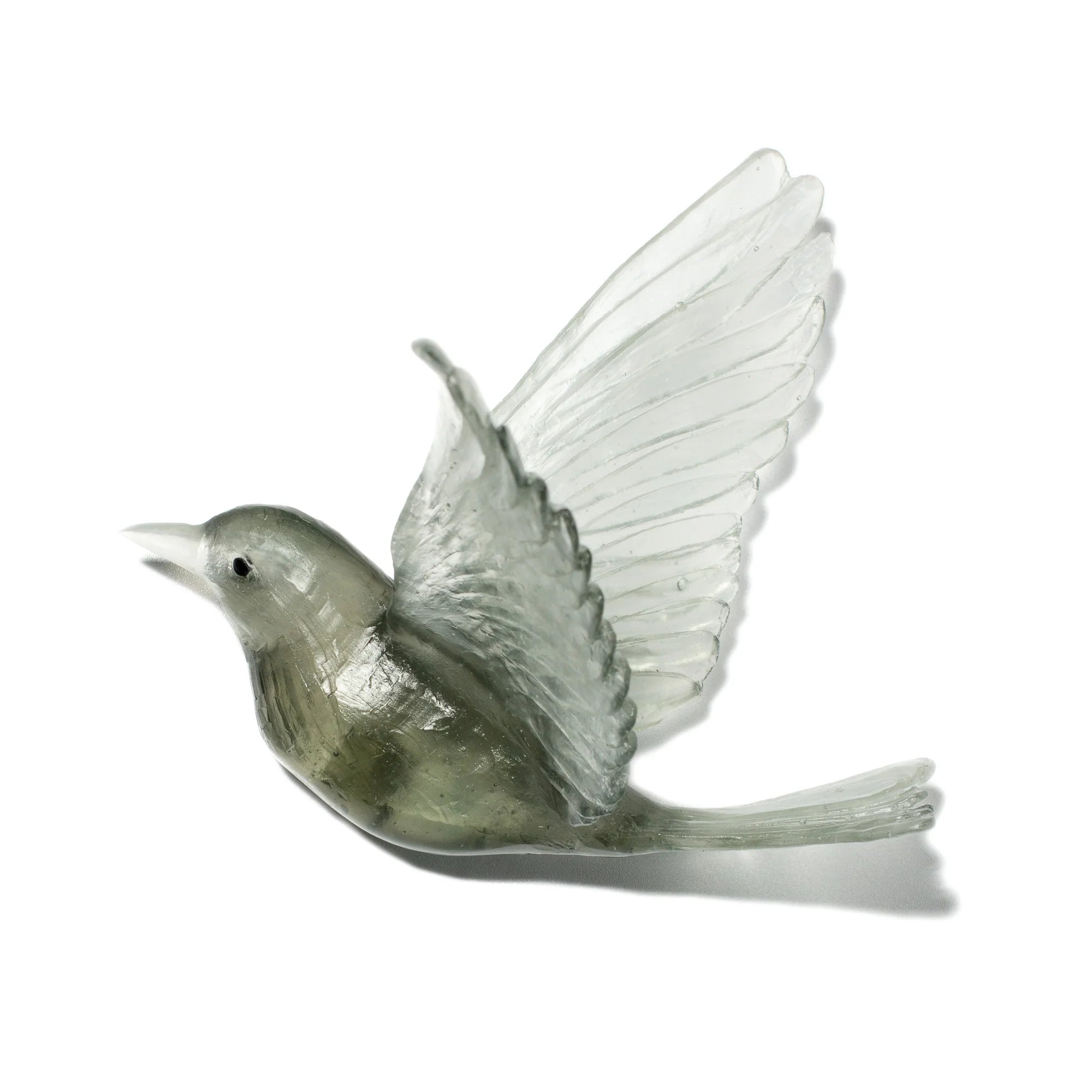 Hihi / Stitchbird | Glass Bird