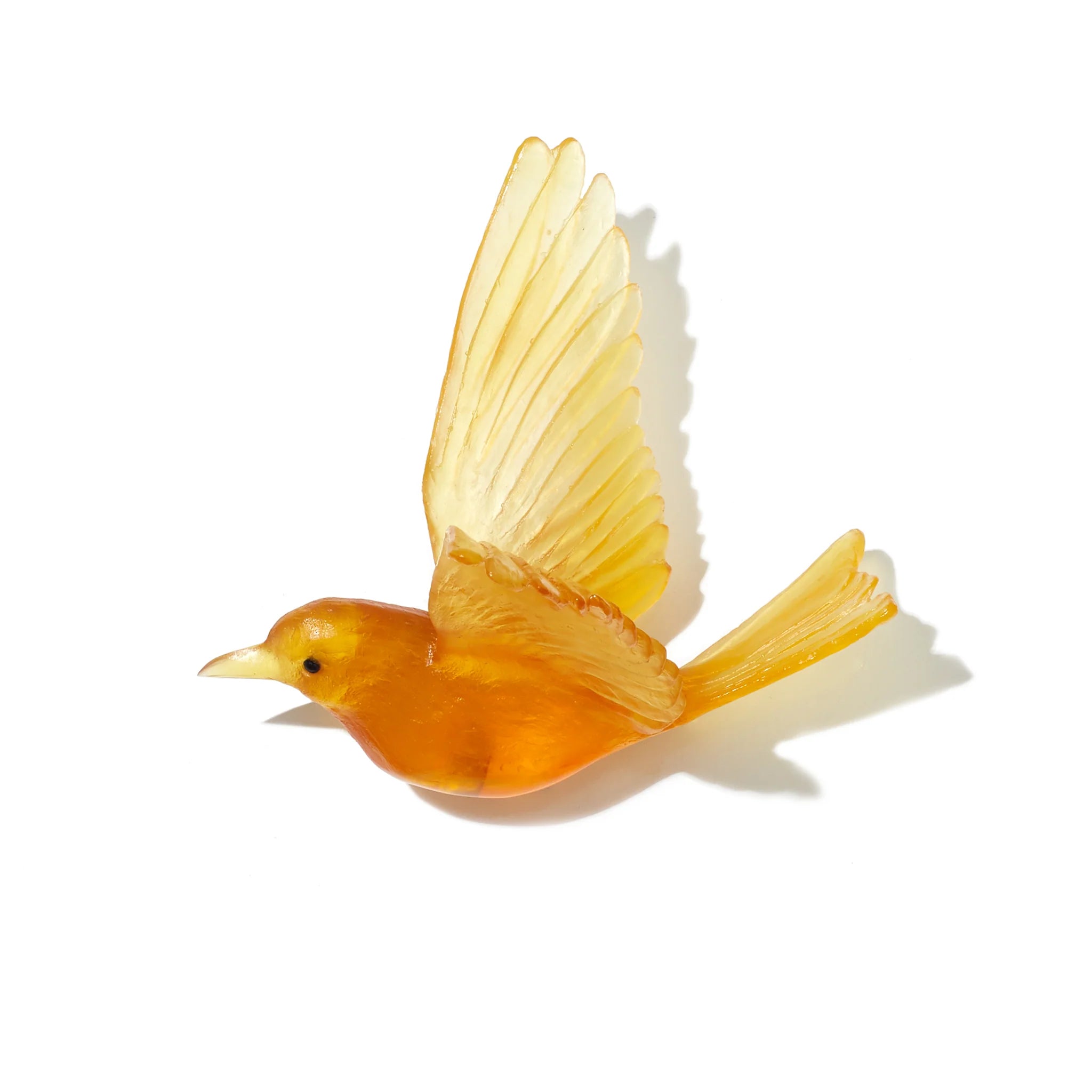 Hihi / Stitchbird | Glass Bird