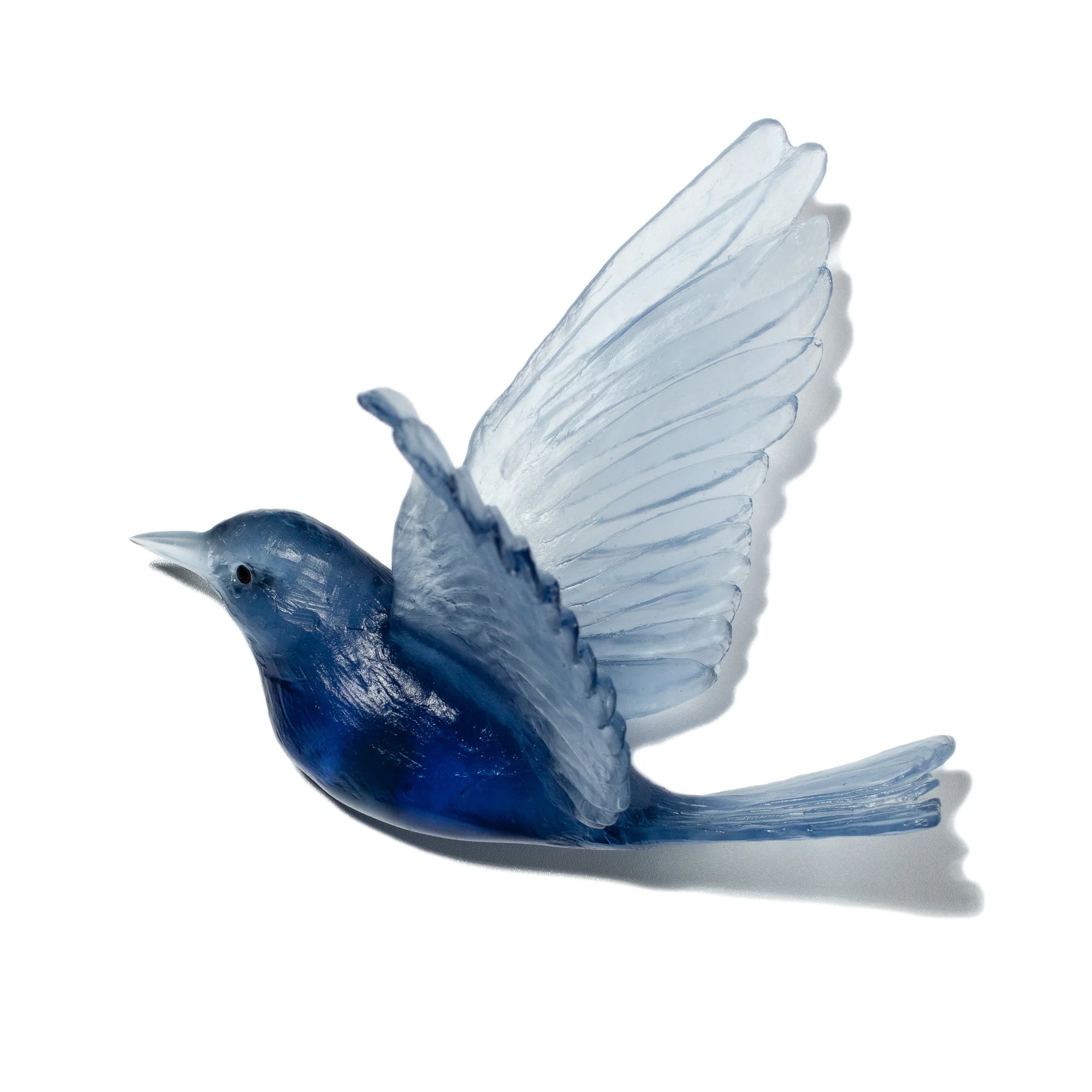 Hihi / Stitchbird | Glass Bird