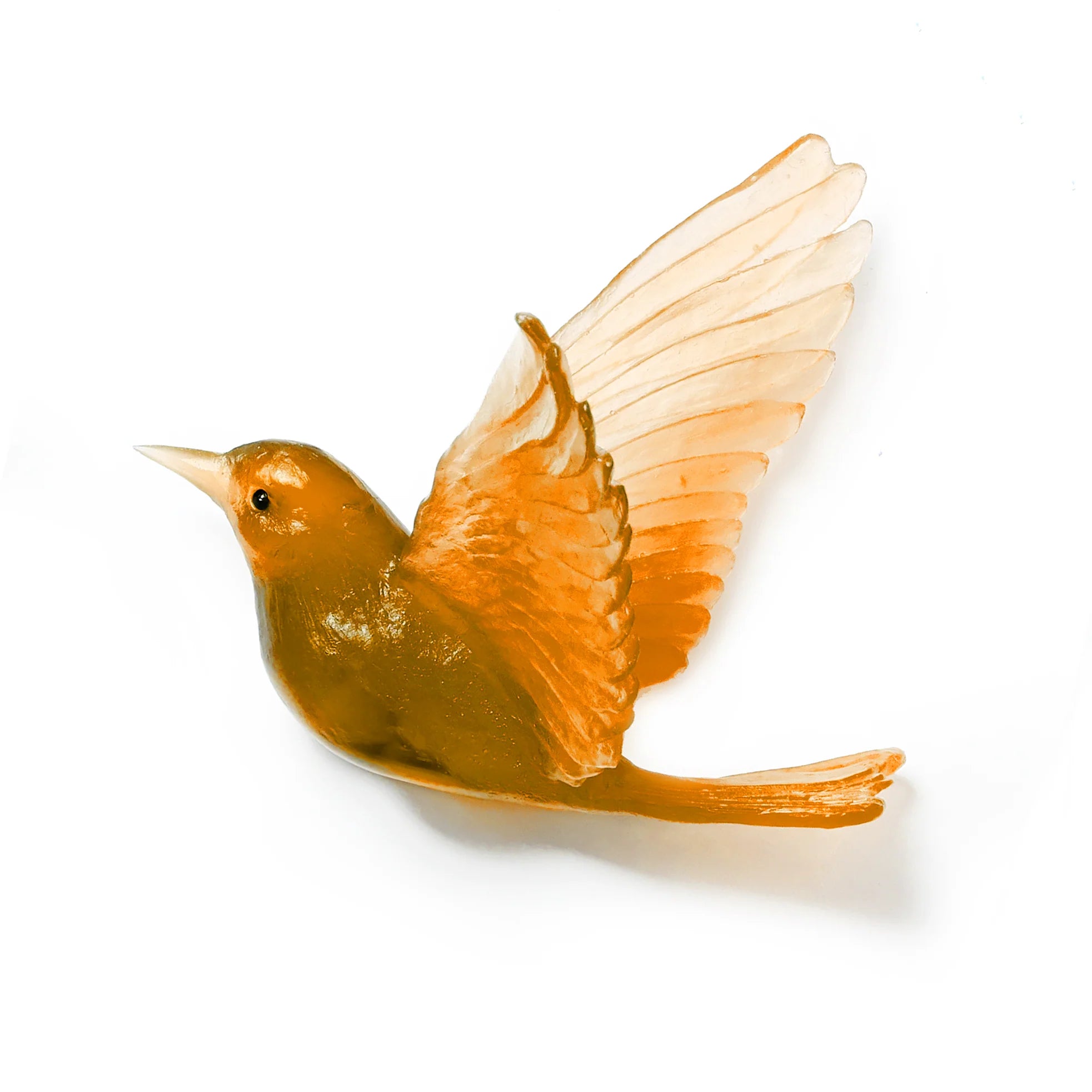 Hihi / Stitchbird | Glass Bird