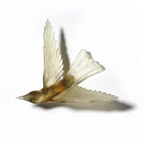 Korimako / Bellbird | Glass Bird