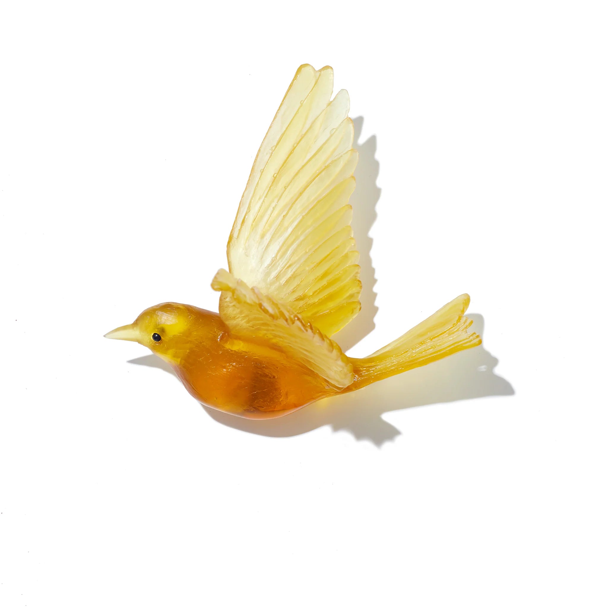 Hihi / Stitchbird | Glass Bird