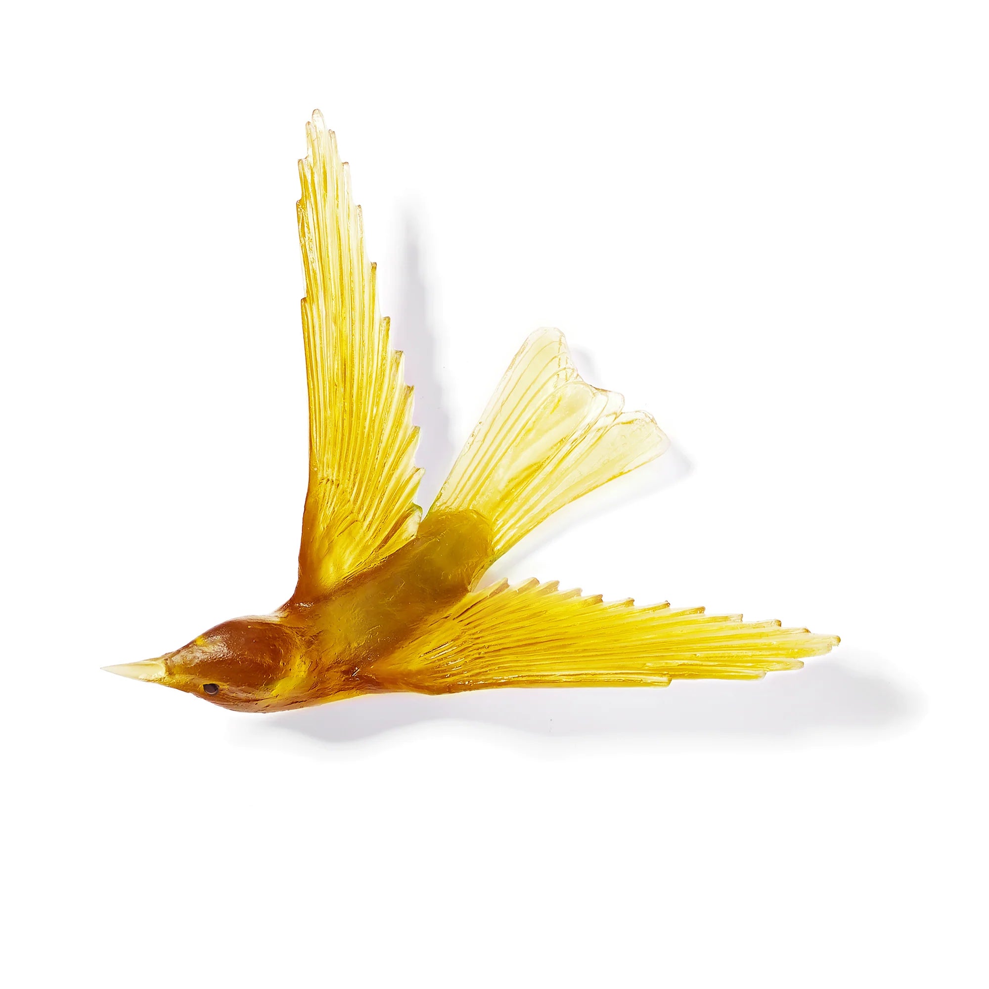 Korimako / Bellbird | Glass Bird