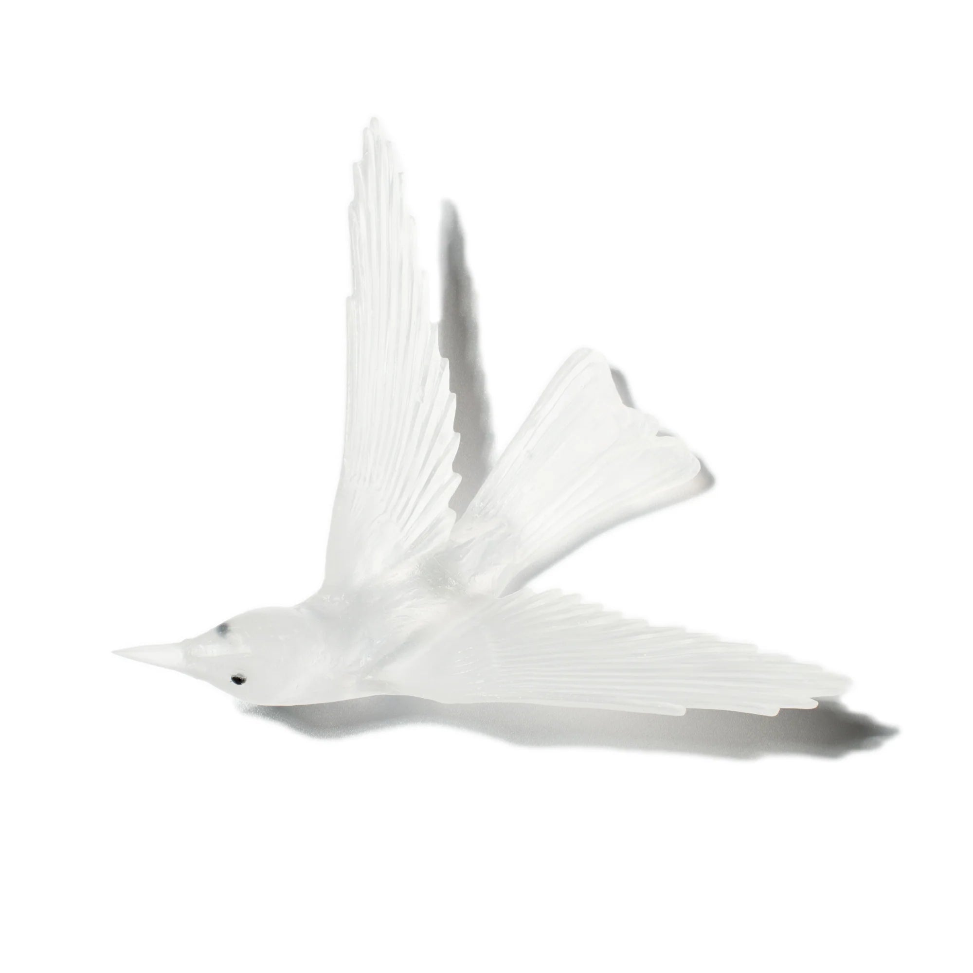 Korimako / Bellbird | Glass Bird