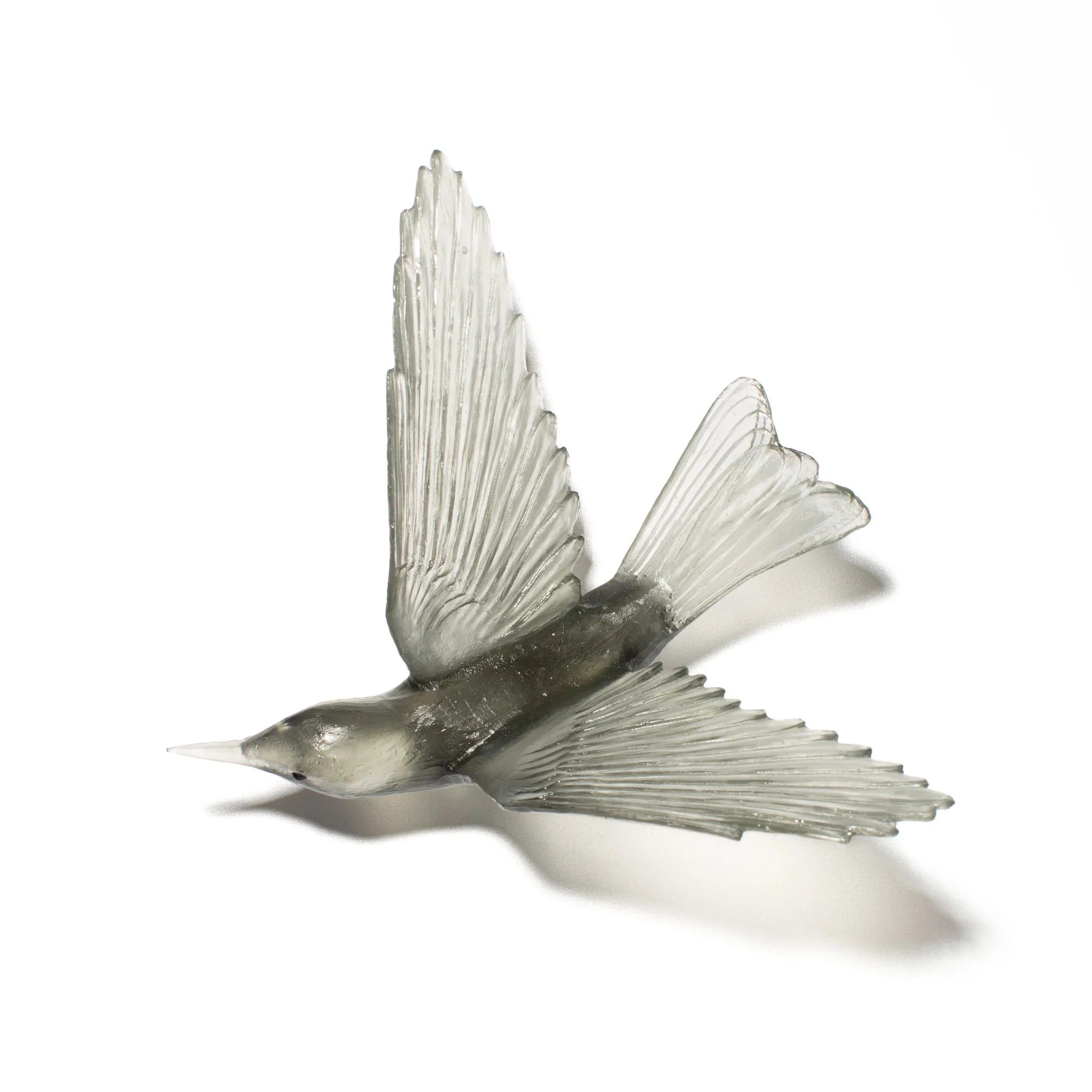 Korimako / Bellbird | Glass Bird