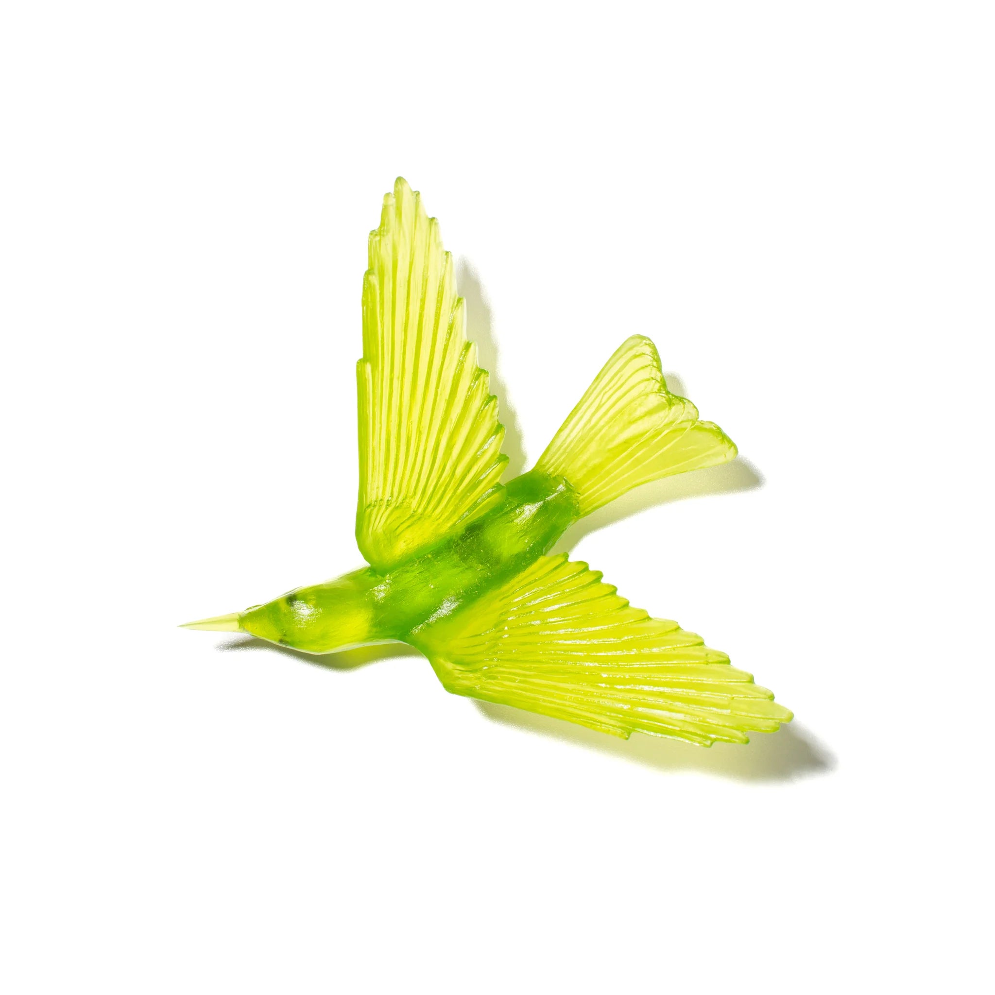Korimako / Bellbird | Glass Bird