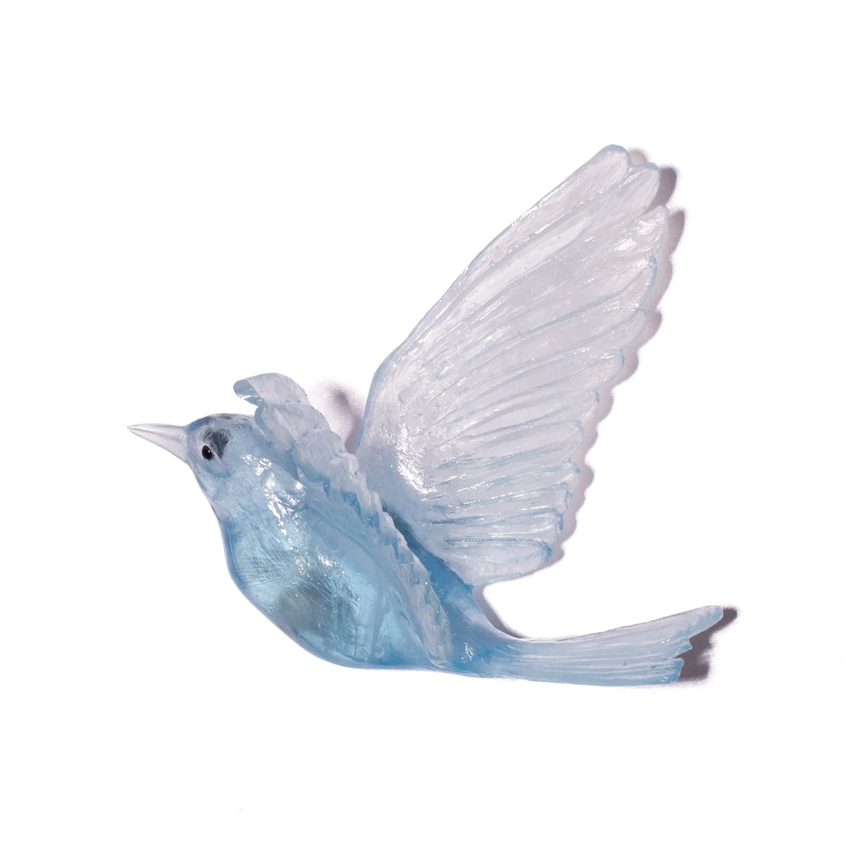 Hihi / Stitchbird | Glass Bird
