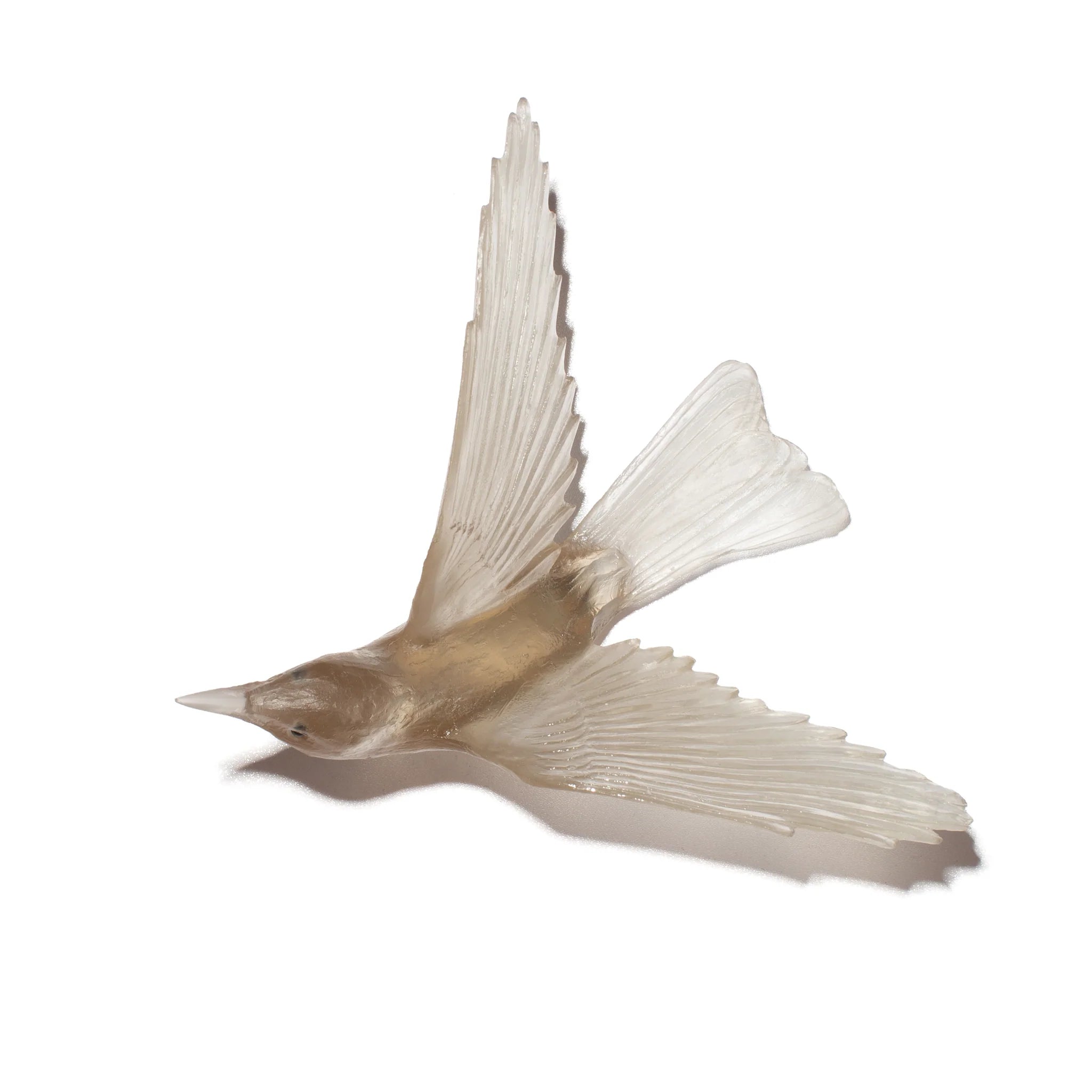 Korimako / Bellbird | Glass Bird