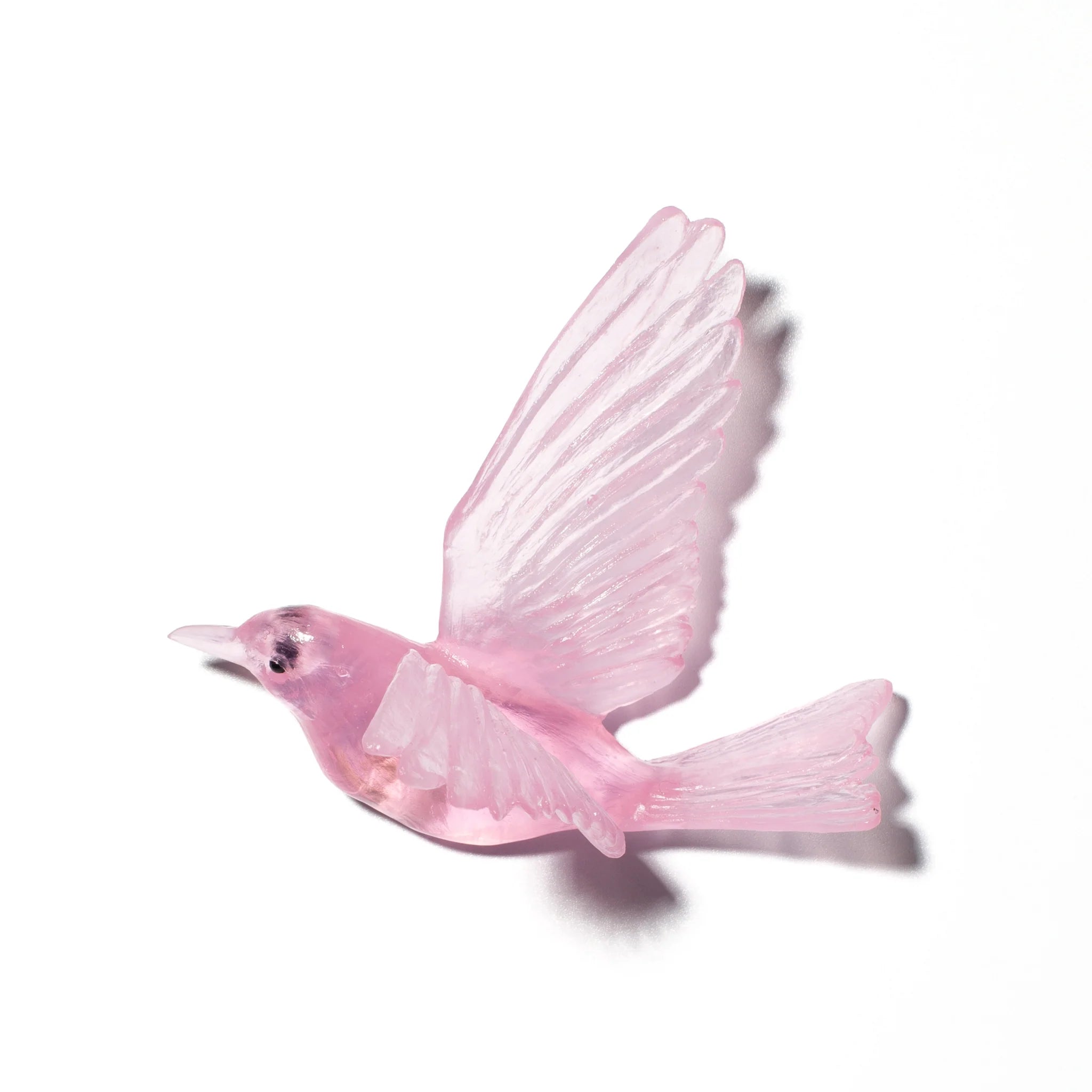 Hihi / Stitchbird | Glass Bird