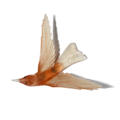 Korimako / Bellbird | Glass Bird