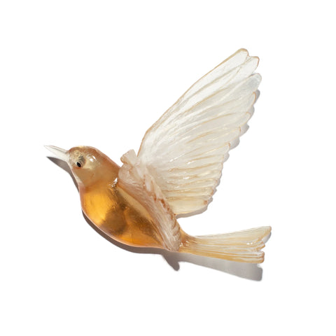 Hihi / Stitchbird | Glass Bird