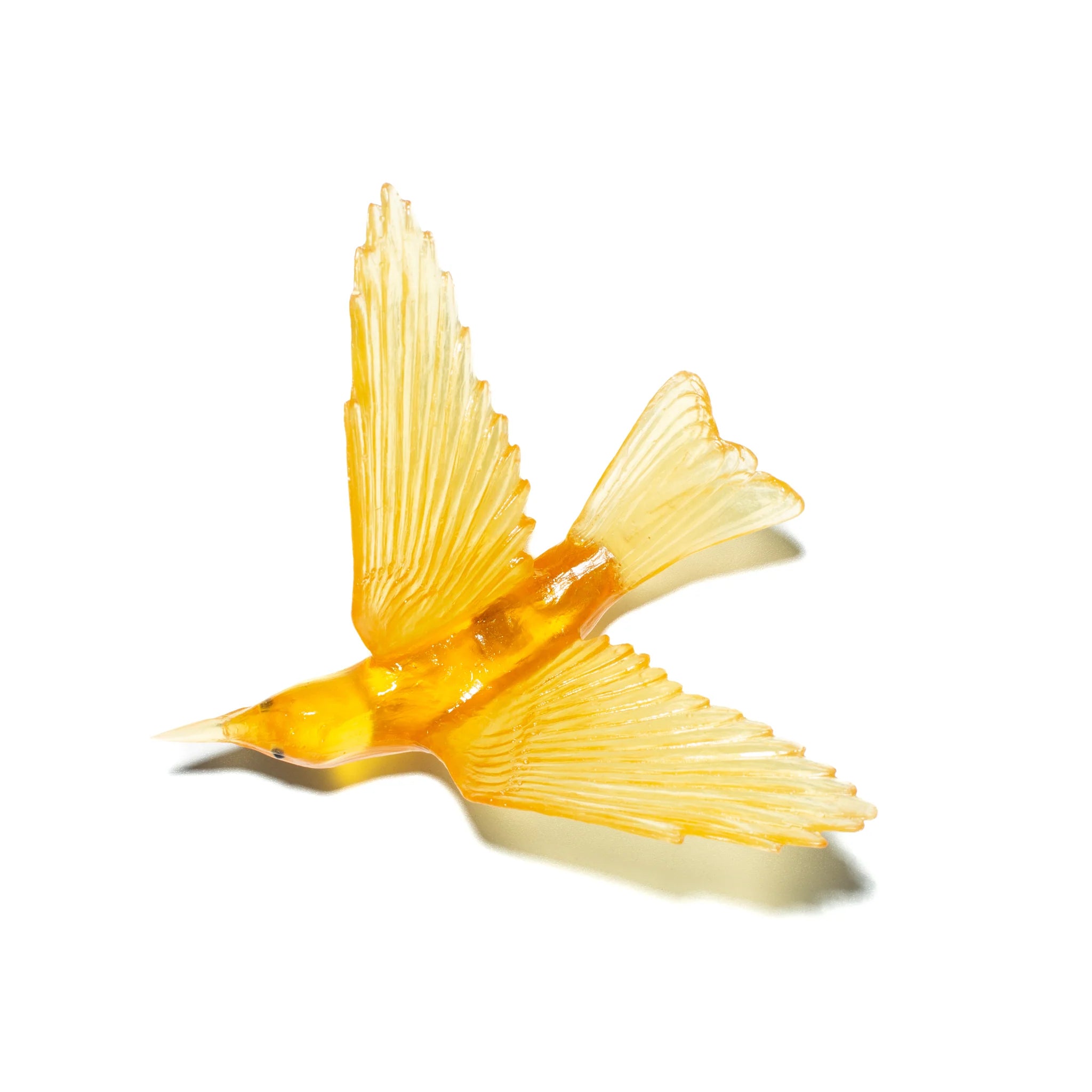 Korimako / Bellbird | Glass Bird