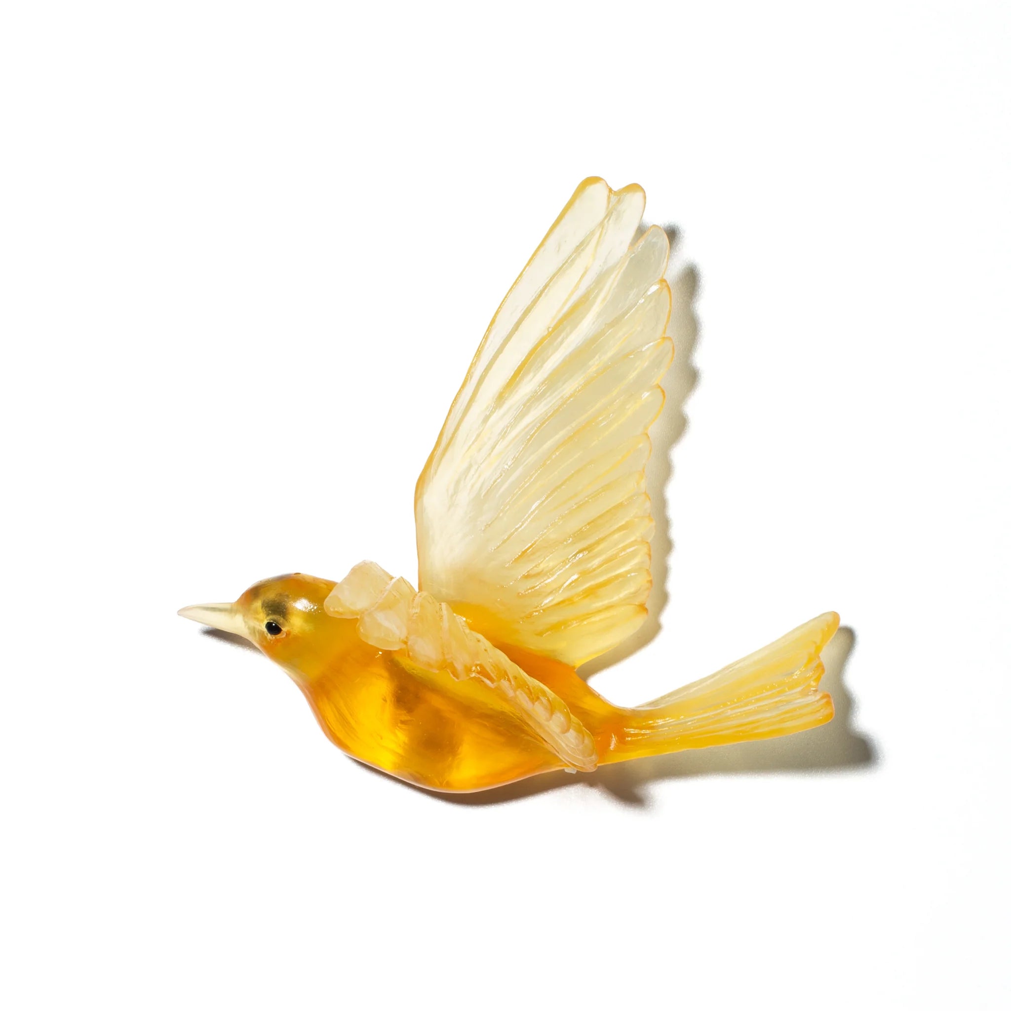Hihi / Stitchbird | Glass Bird