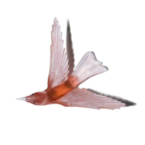 Korimako / Bellbird | Glass Bird