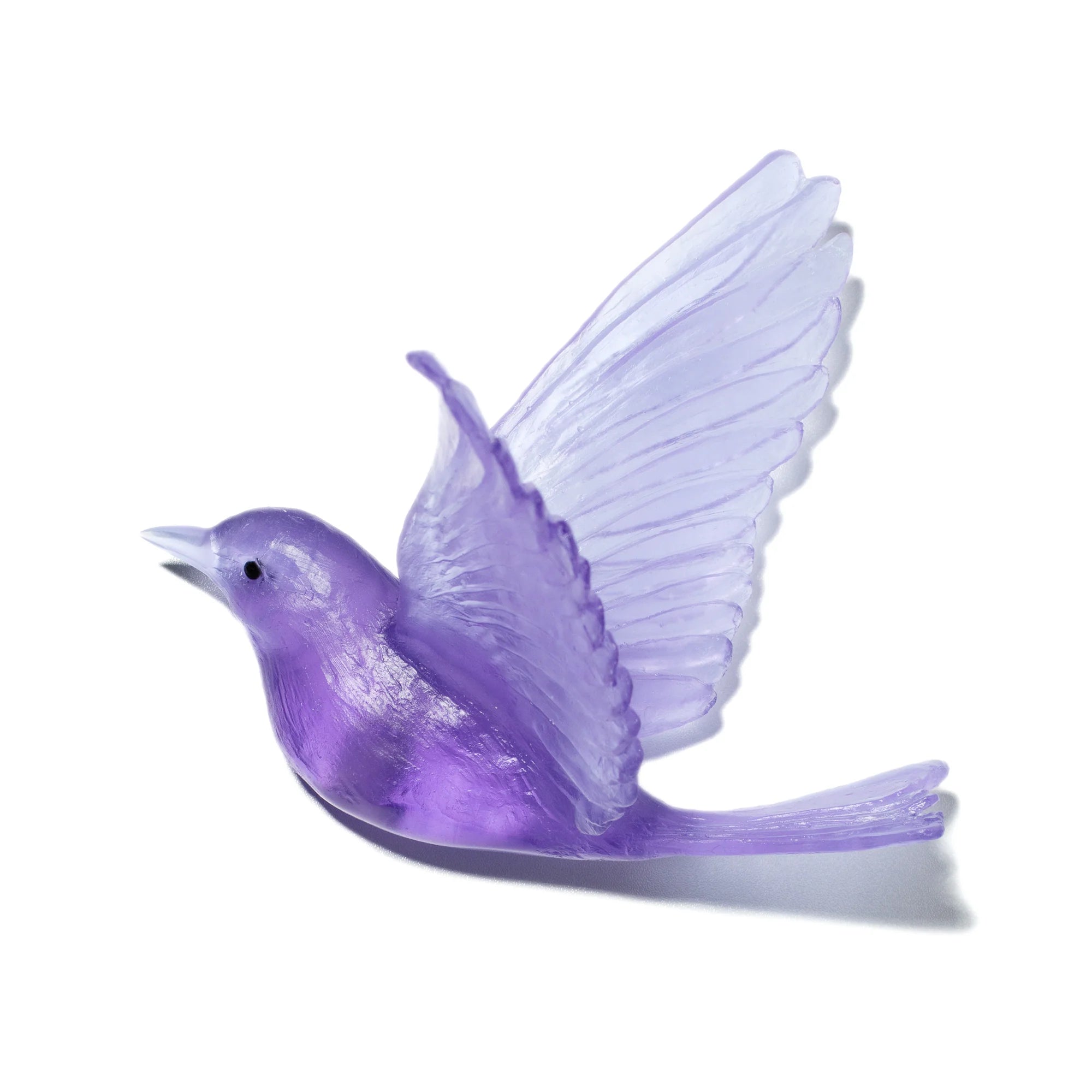 Hihi / Stitchbird | Glass Bird