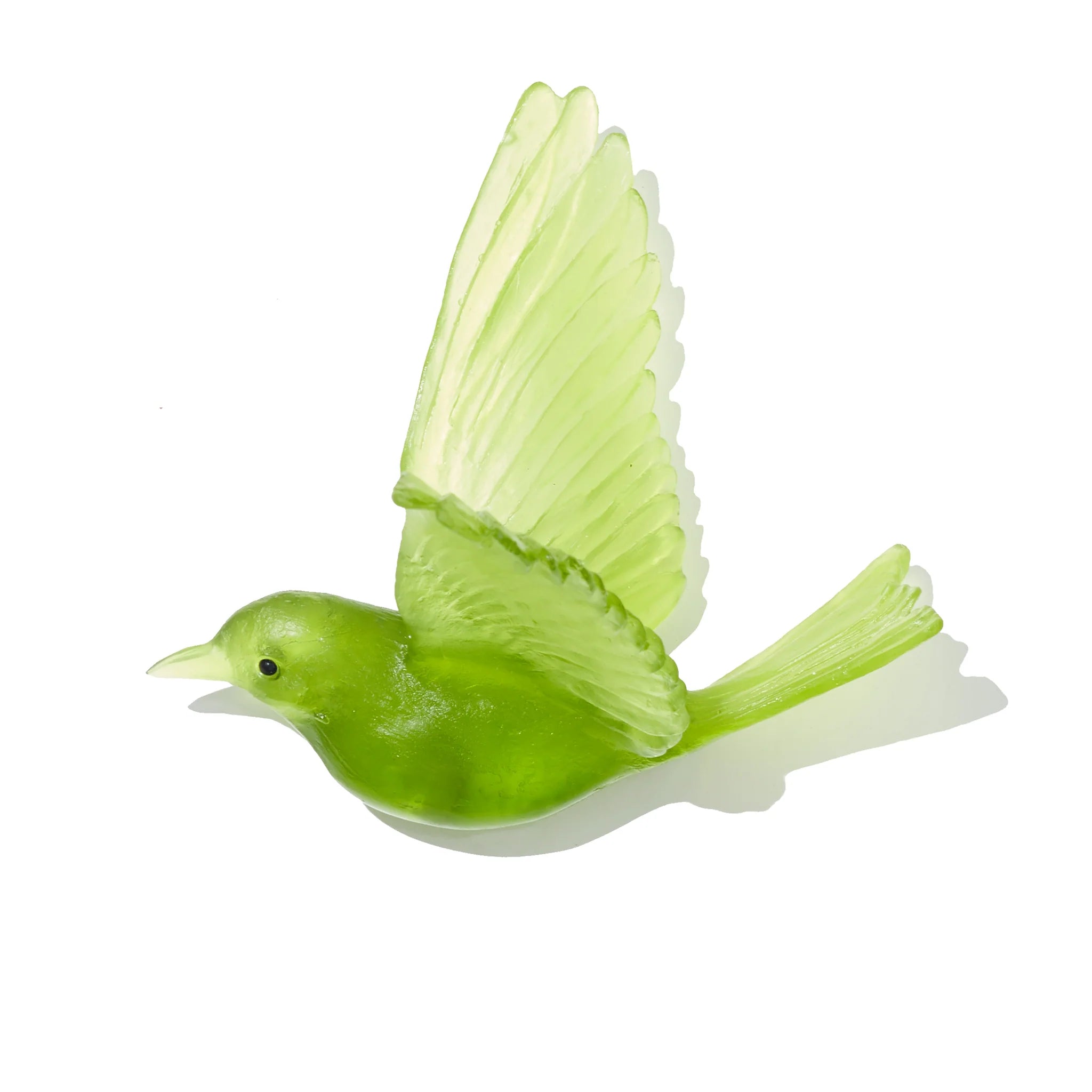 Hihi / Stitchbird | Glass Bird