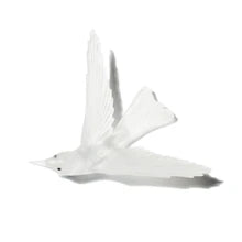 Pīwakawaka/ Fantail Wings Down | Glass Bird