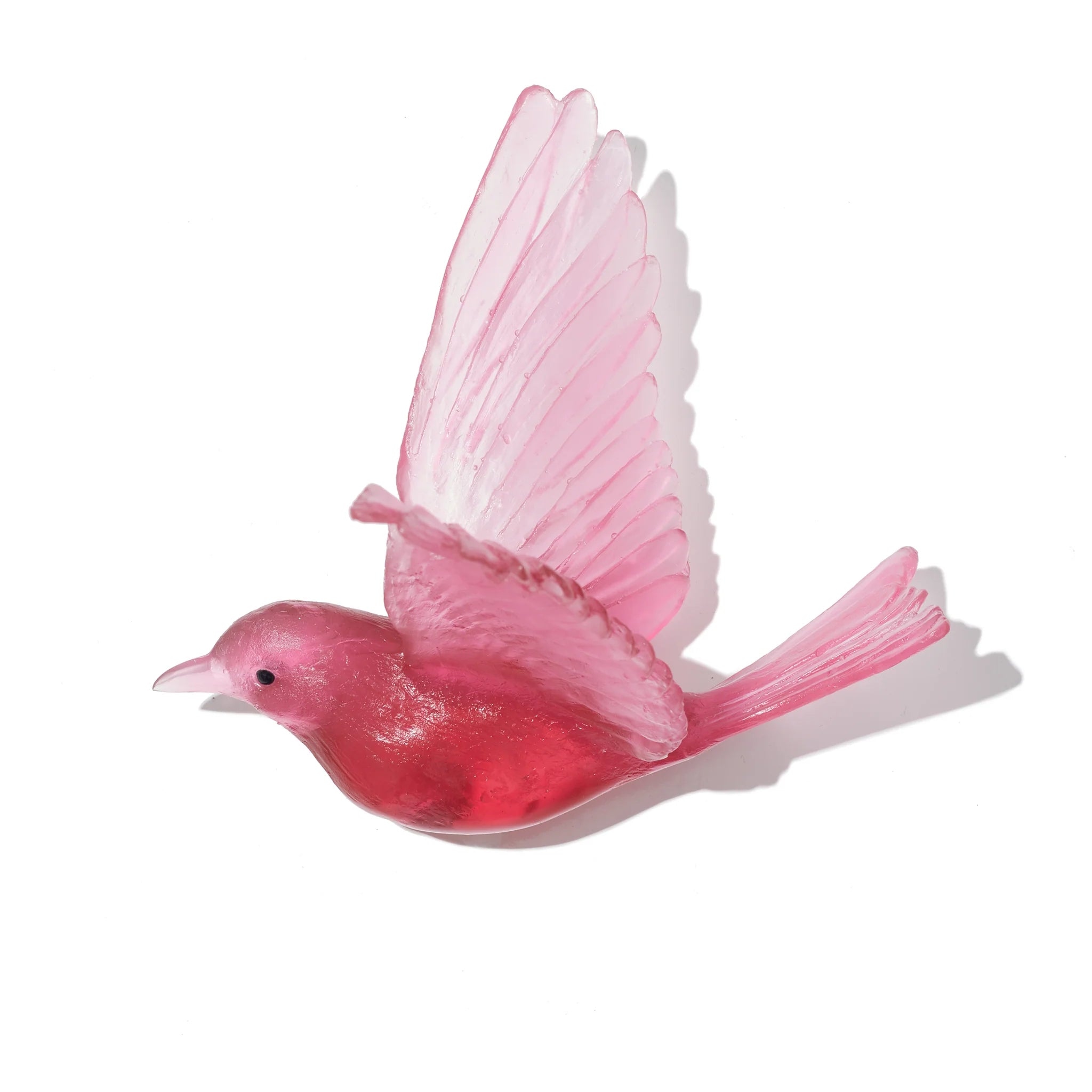 Hihi / Stitchbird | Glass Bird