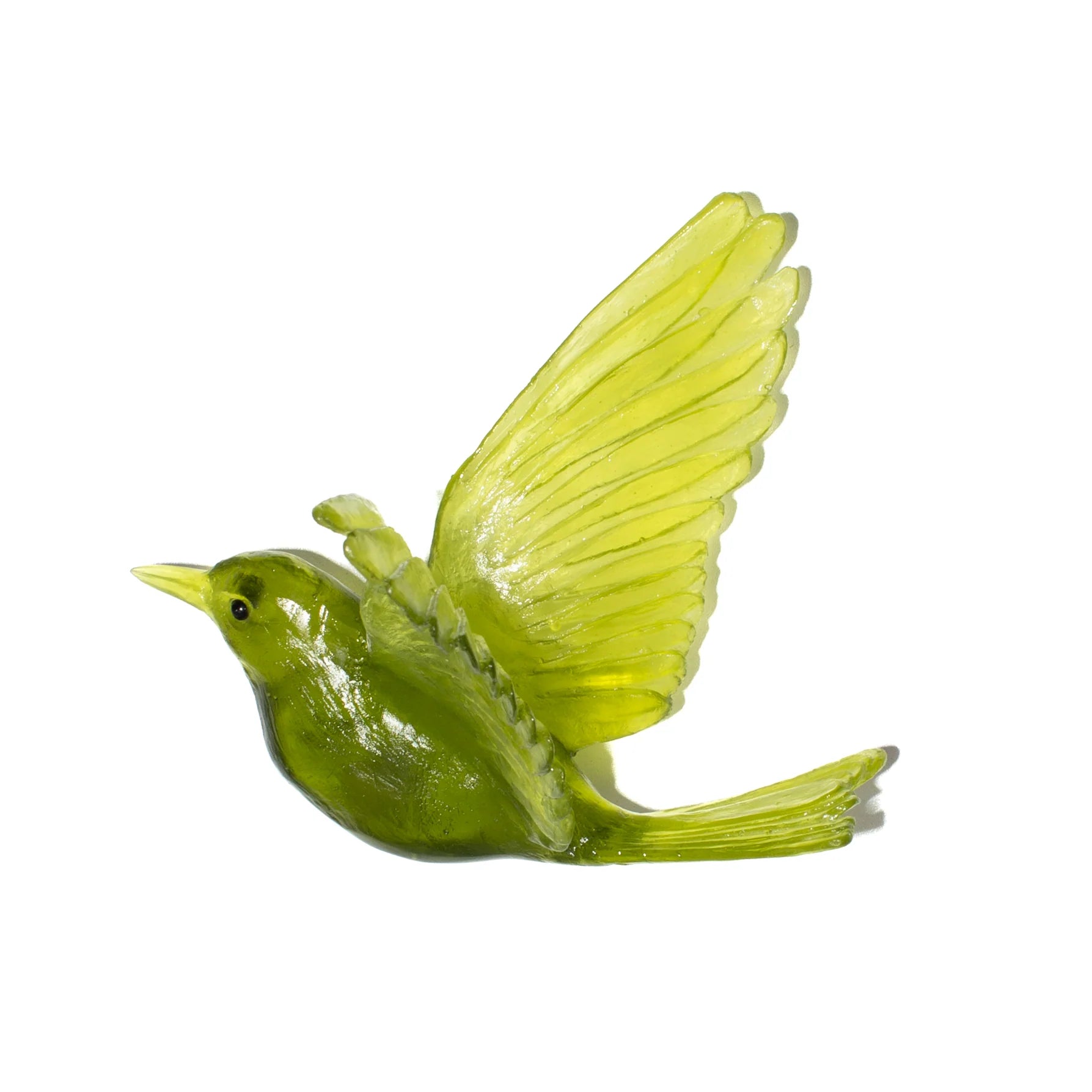 Hihi / Stitchbird | Glass Bird