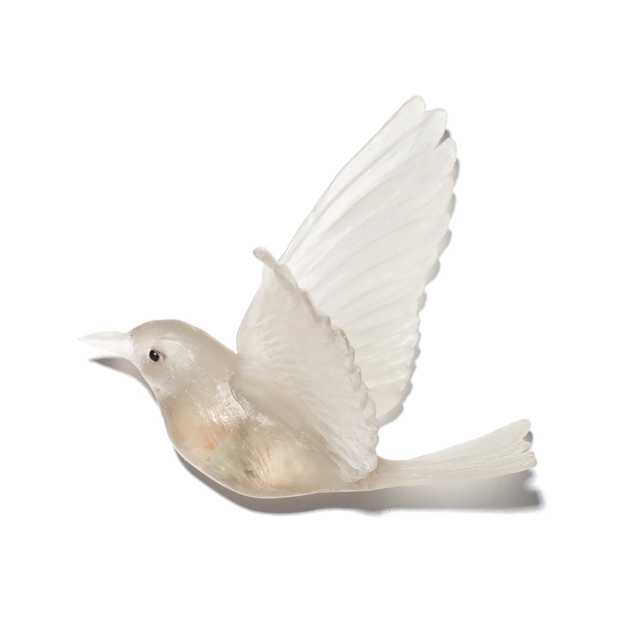 Hihi / Stitchbird | Glass Bird
