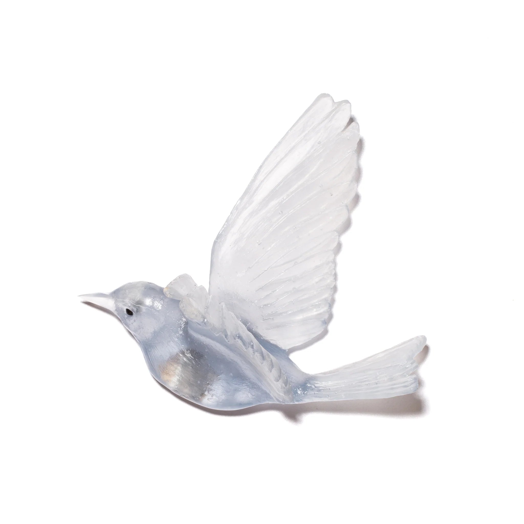 Hihi / Stitchbird | Glass Bird