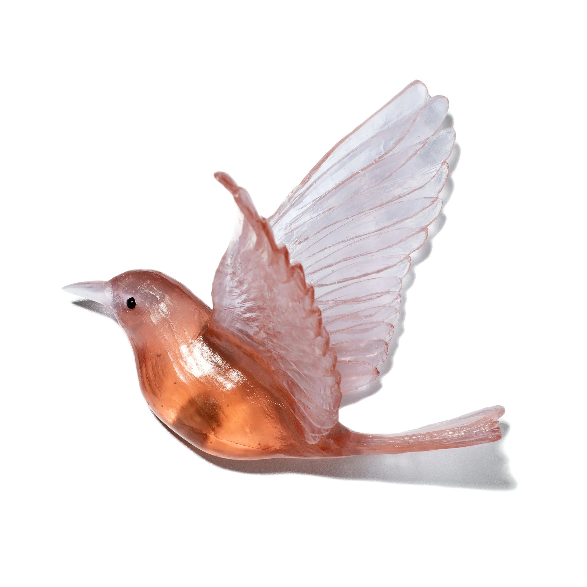 Hihi / Stitchbird | Glass Bird