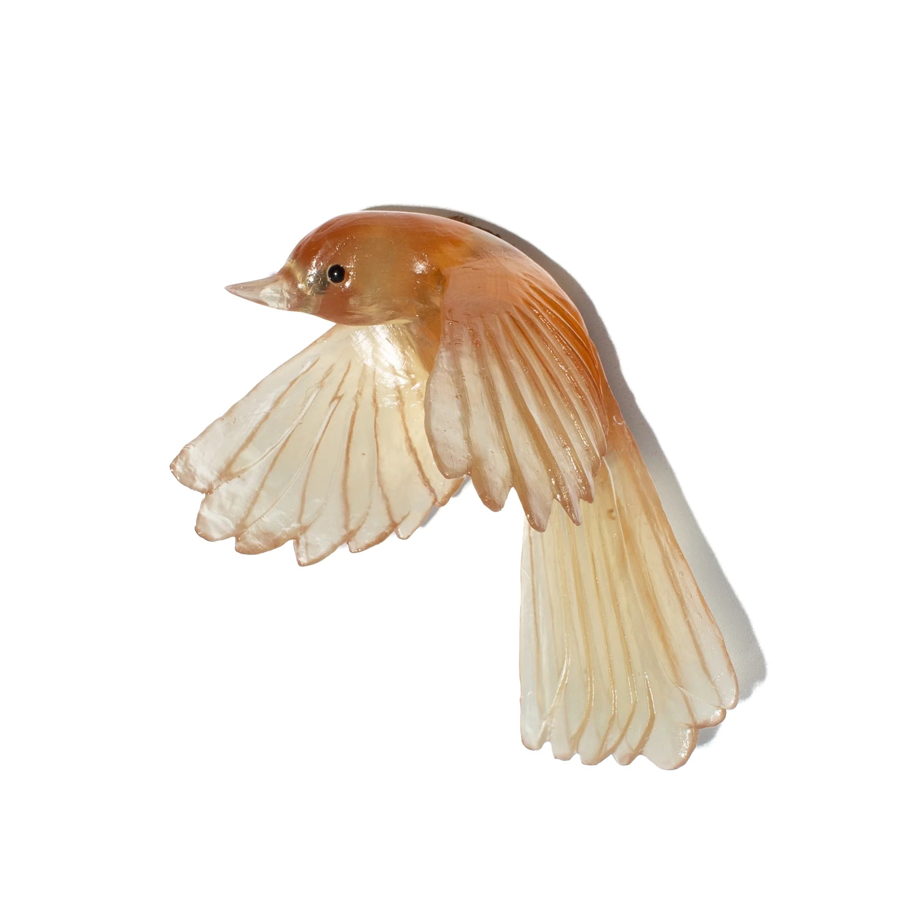 Pīwakawaka/ Fantail Wings Down | Glass Bird