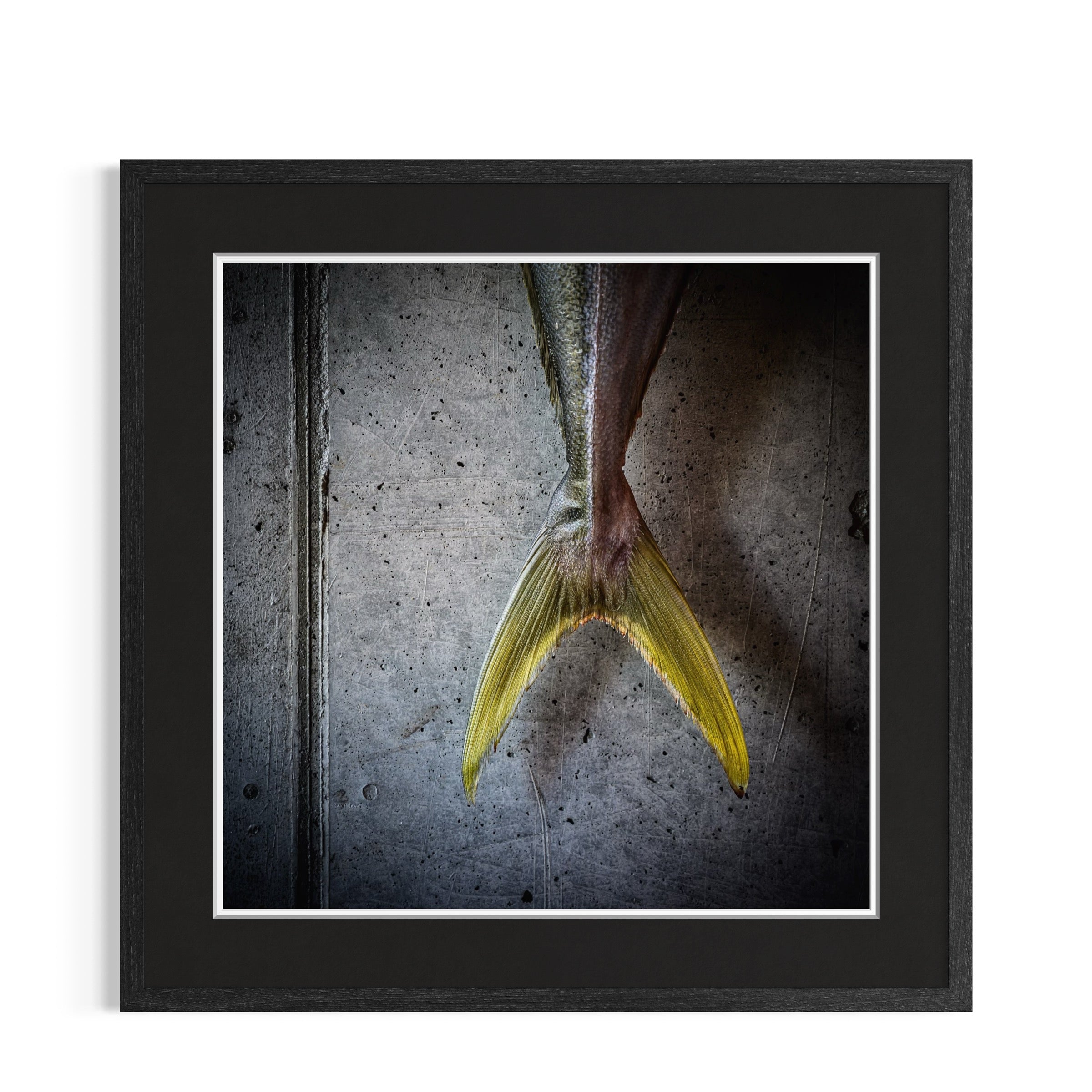 Tail End | Framed Print