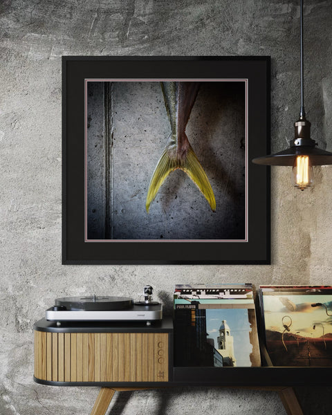 Tail End | Framed Print