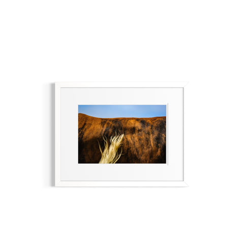 Swish | Print (Unframed)