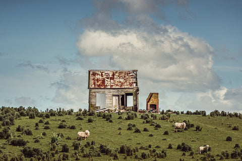 The Caretakers | Limited Edition Framed Print