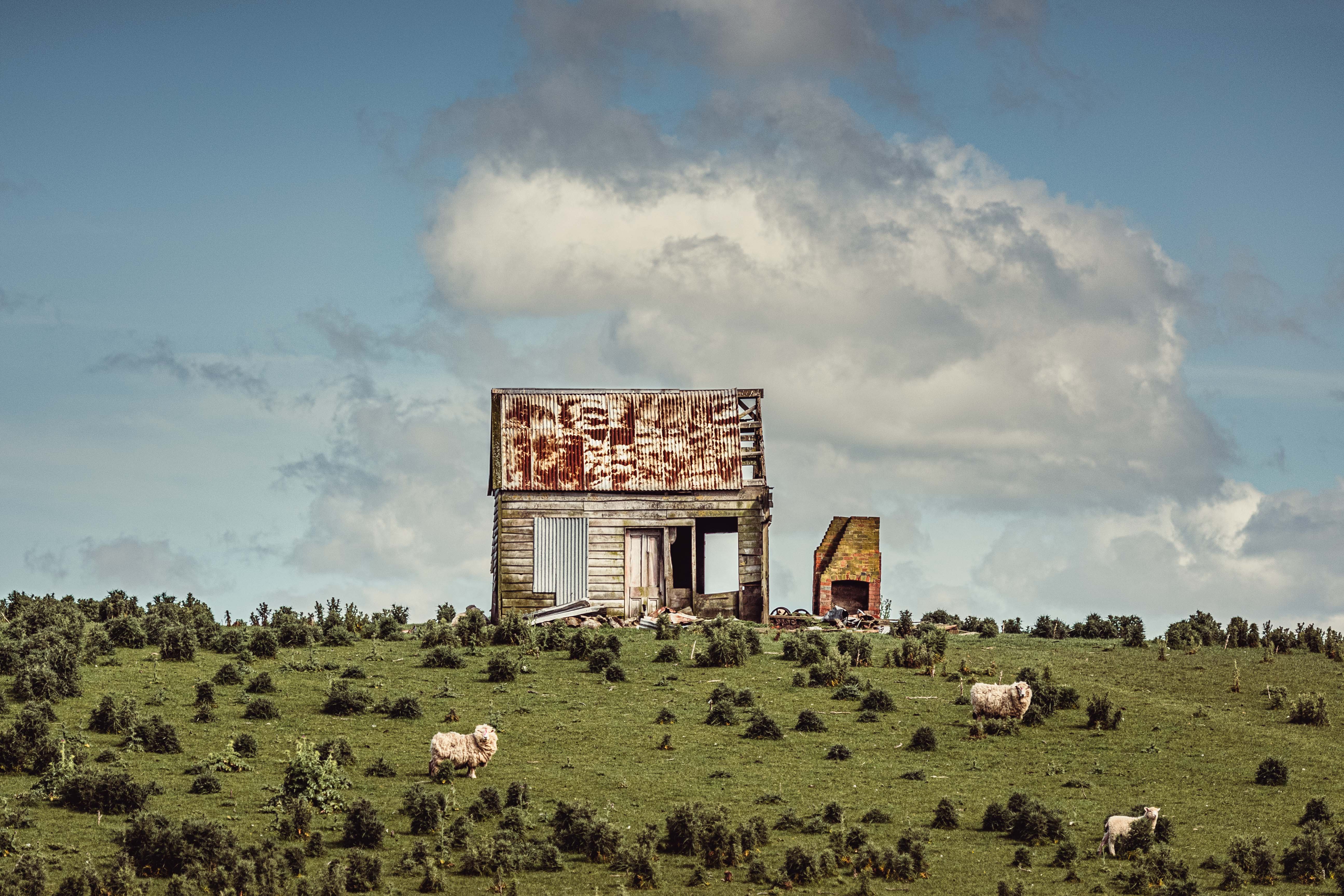 The Caretakers | Limited Edition Framed Print